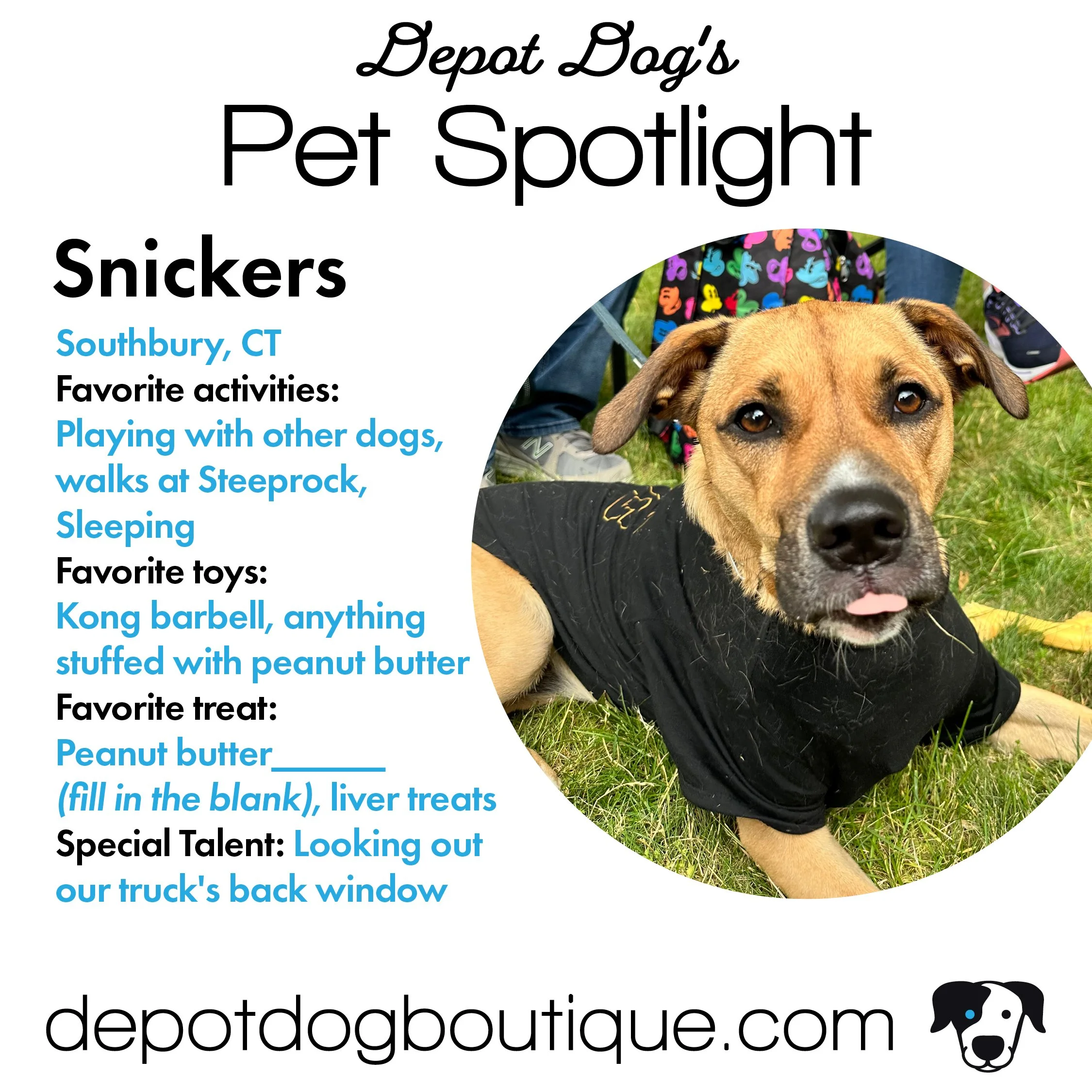 DepotDog-spotlight-web-snickers.jpg