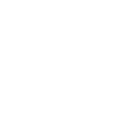 dirige en excelencia 