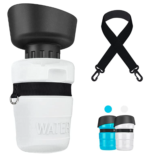 $10 - Travel Water Bottle