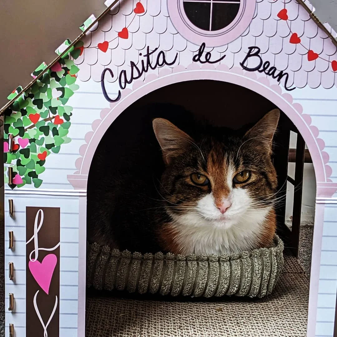 Dont let Bean's pink house fool you, she is a Frijol Asesino.