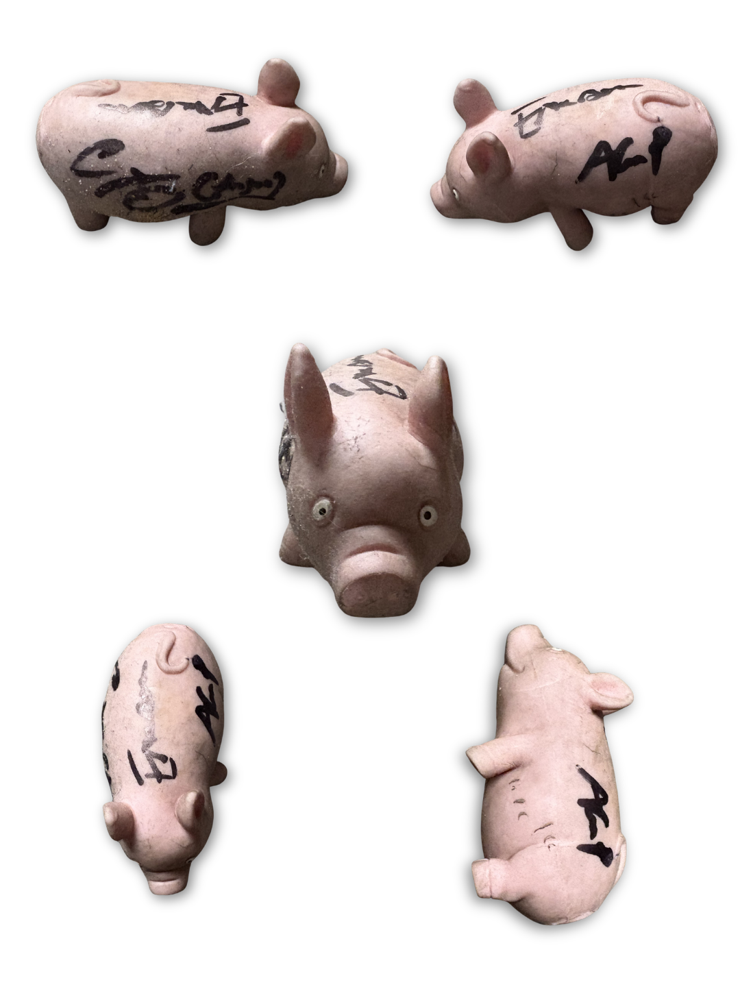 The Pulled Pork (SIGNED)