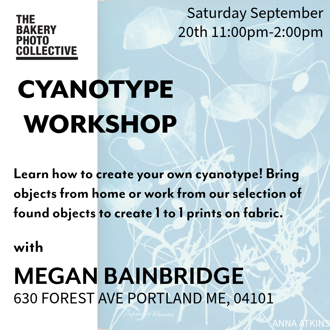 Cyanotype Workshop