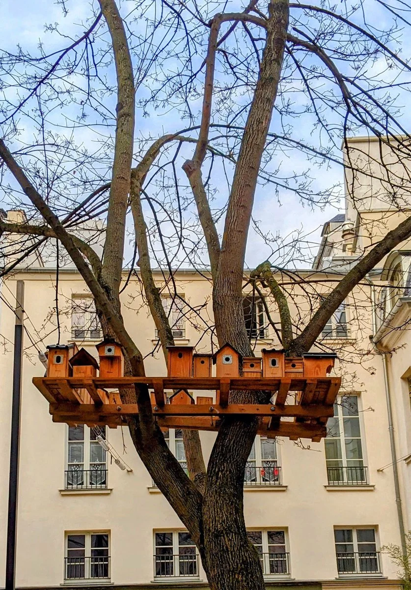 Ruth Sylmor _ Paris village St. Paul 2022