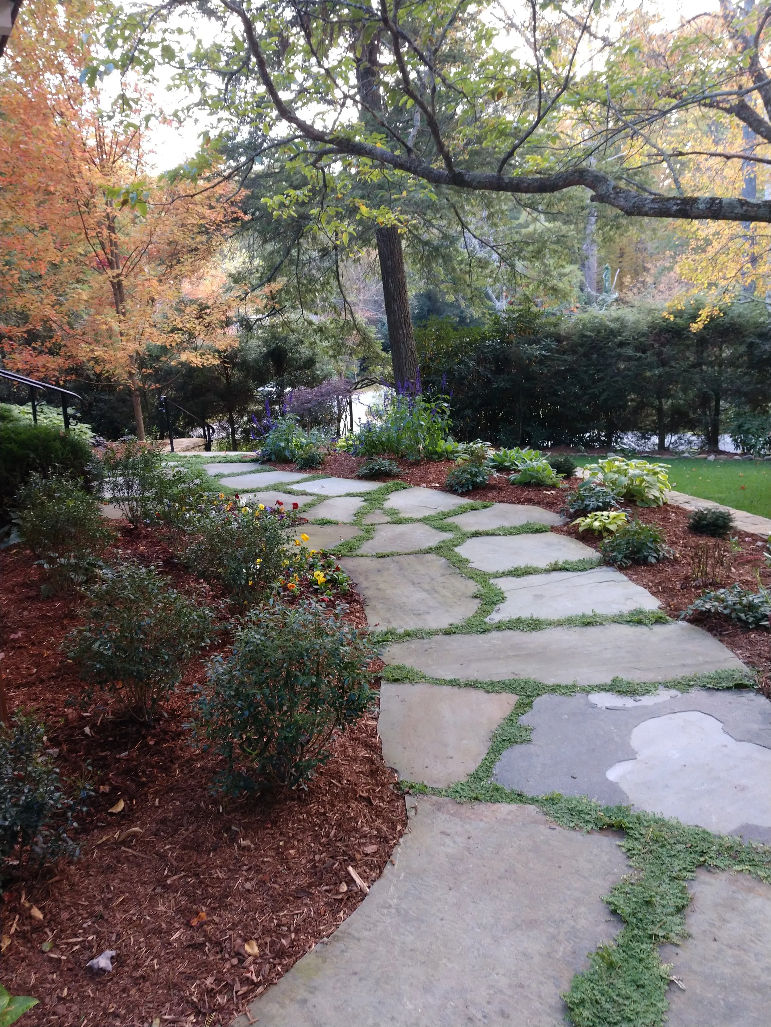 IMG_20201008_181911893 (1).jpg