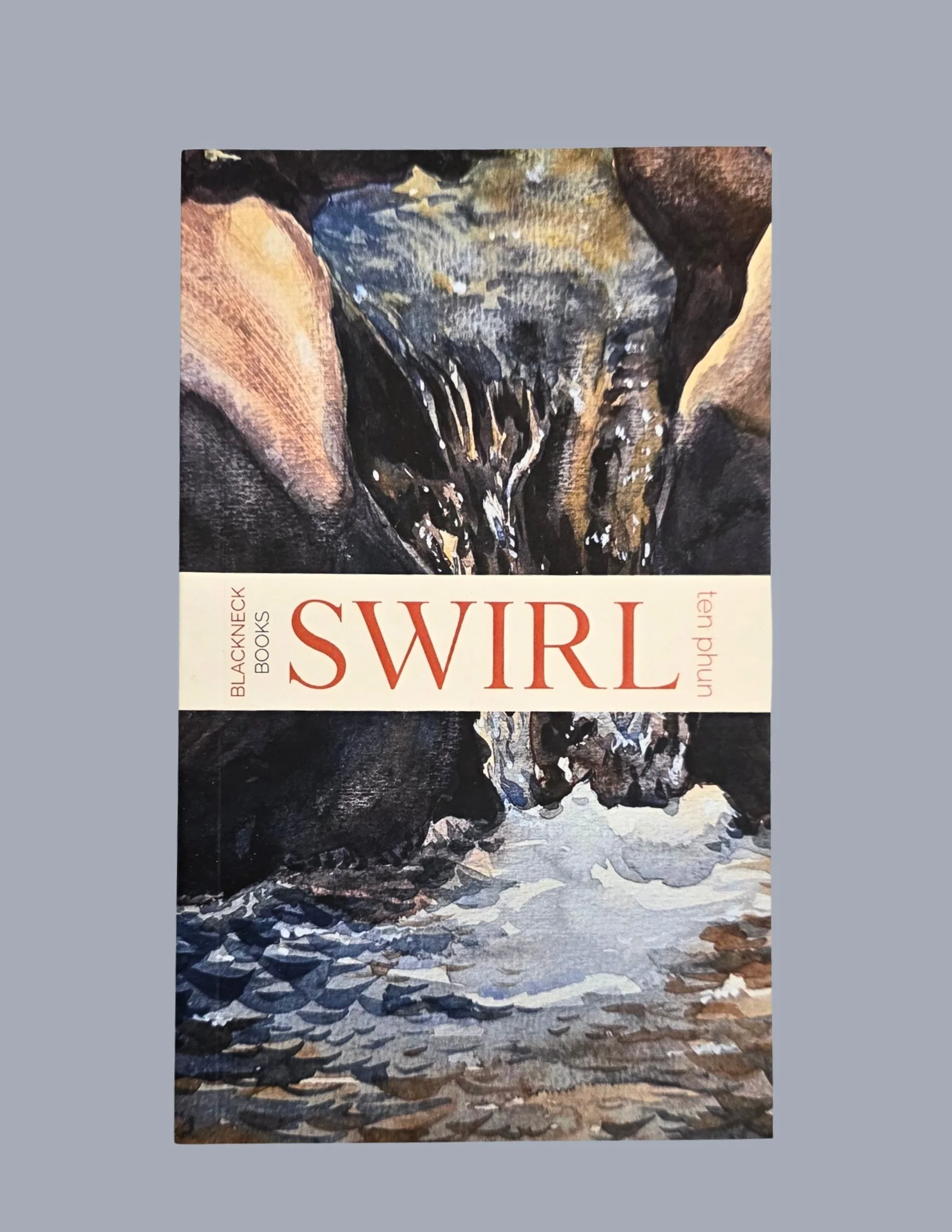Blackneck Book Swirl by Tenphun.jpg