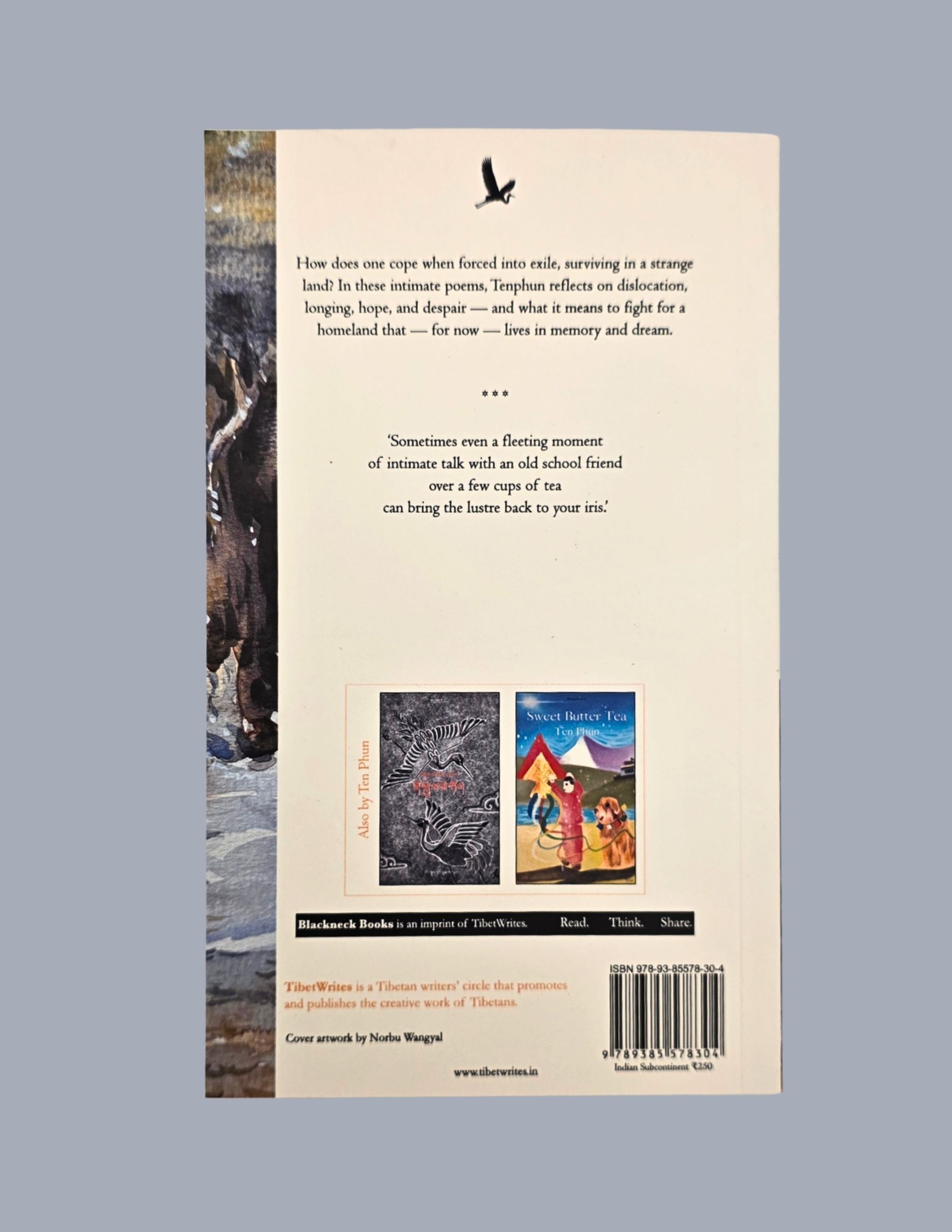 Tibetan Book Tibet Writes Swirl.jpg