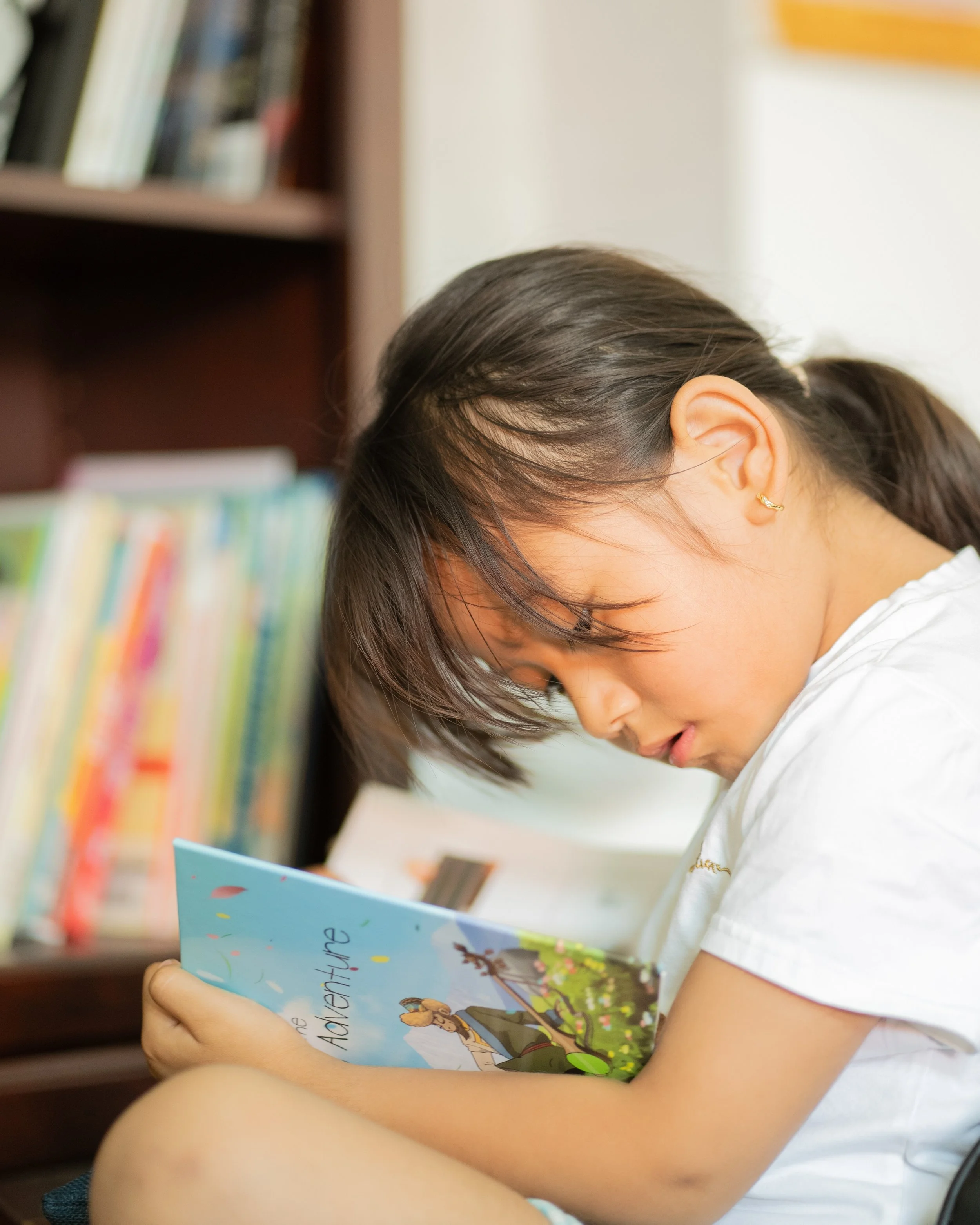 Tibetan inspired Children book.jpg