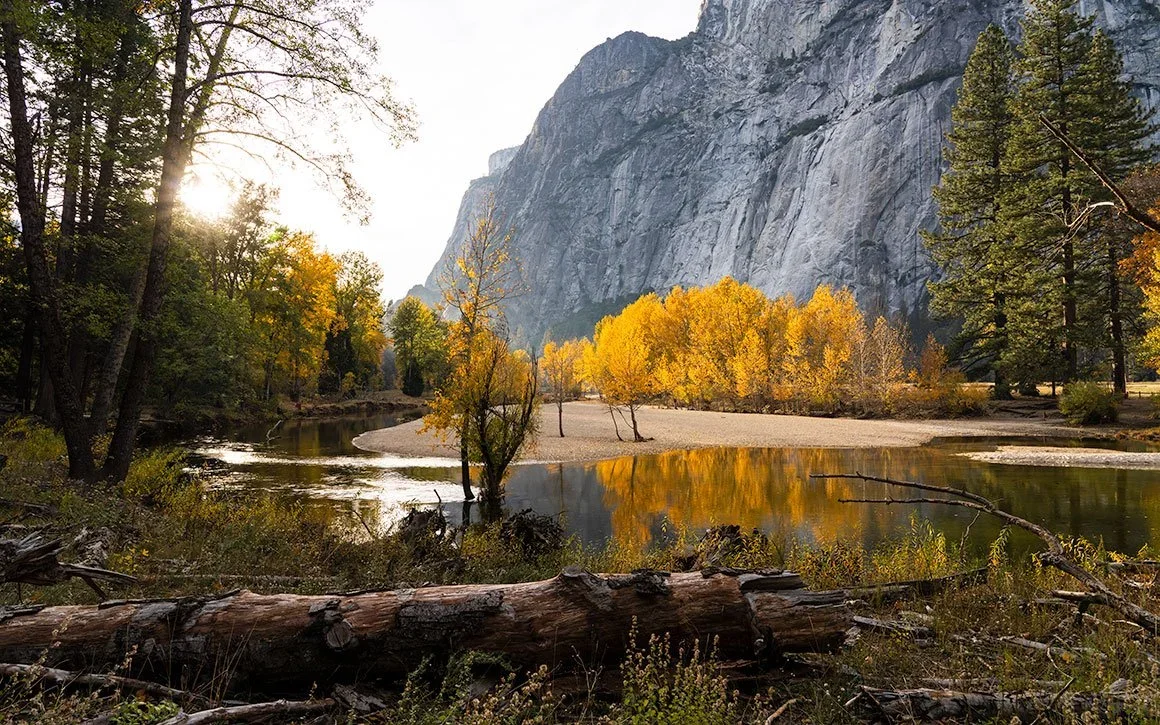 the-meandering-merced.webp