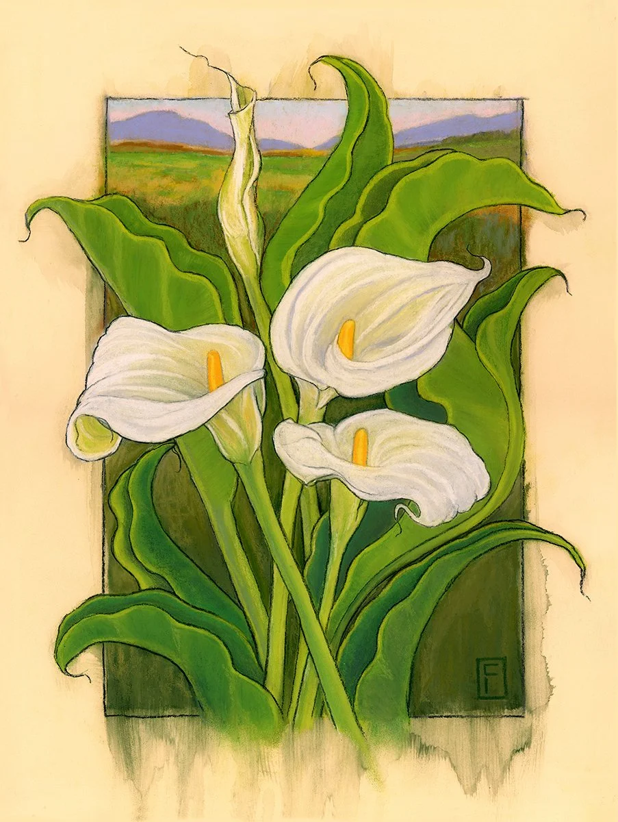 Field-Chris5.jpg