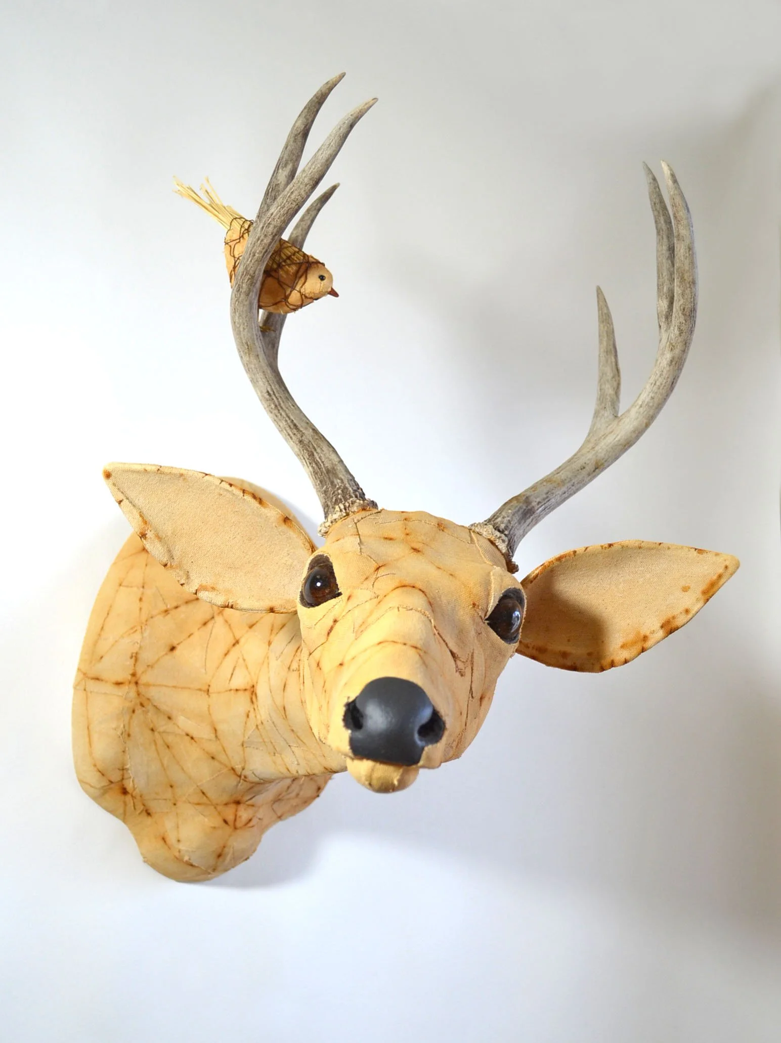 Jane Garibaldi _ Sculpture-deer#5(002).JPG