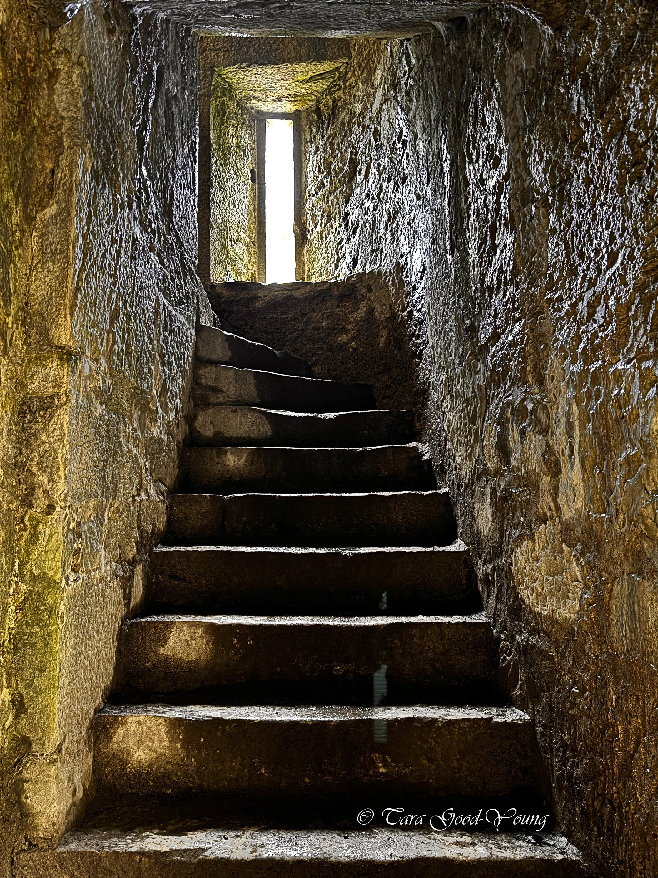Good_YoungTara10.jpeg