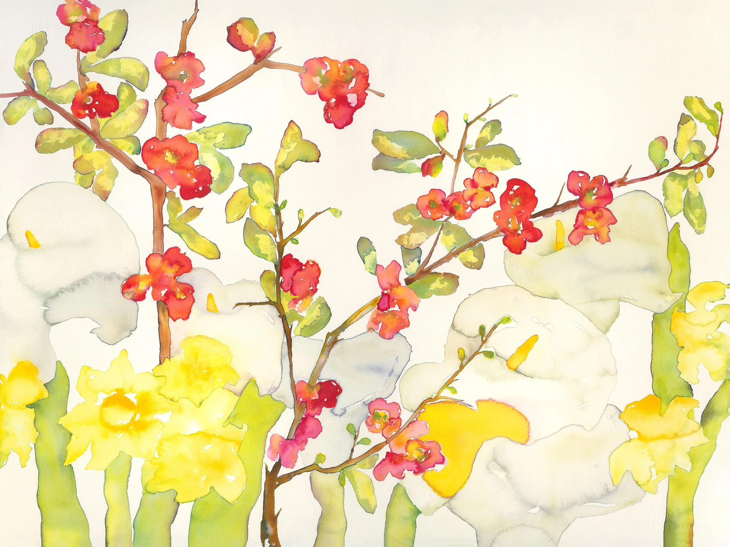 Zachreson_Lynn.4.Quince Blossoms_3072.jpg