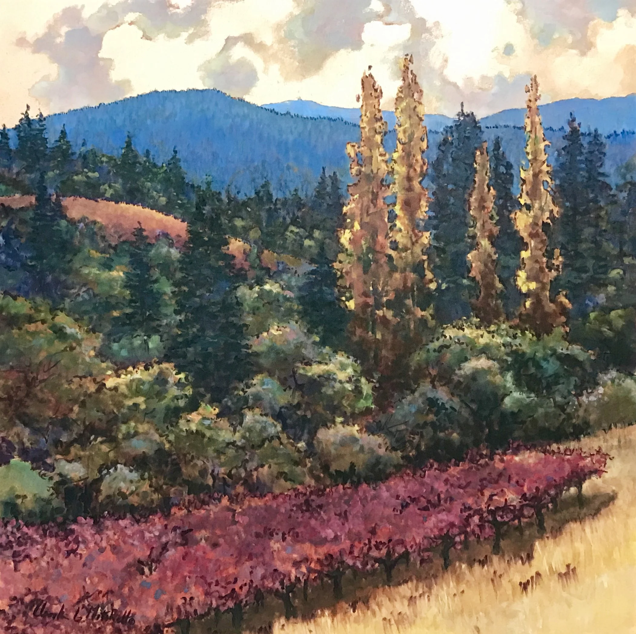 mitchell-clark-1.jpg