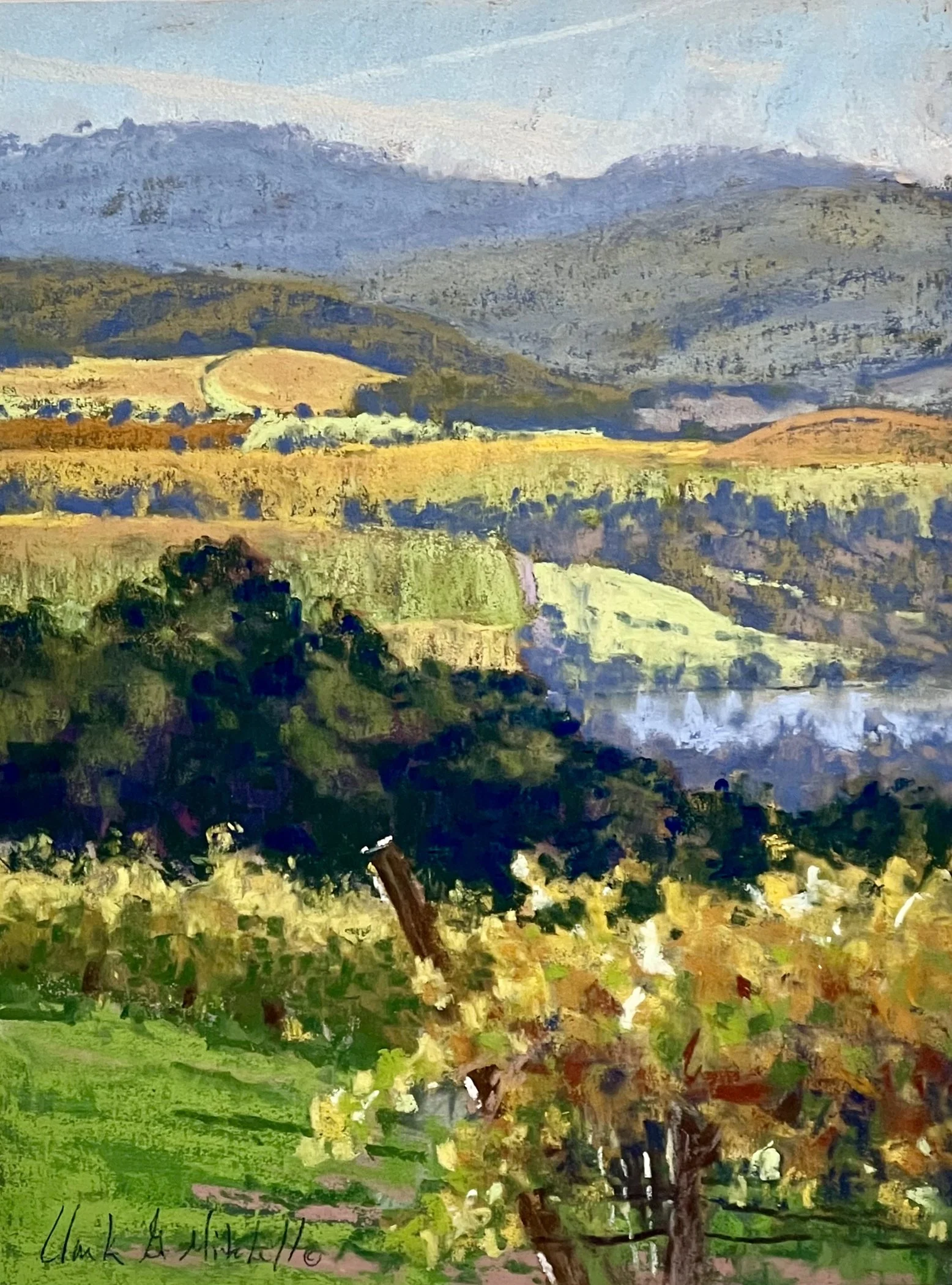 mitchell-clark-2jpg.jpg