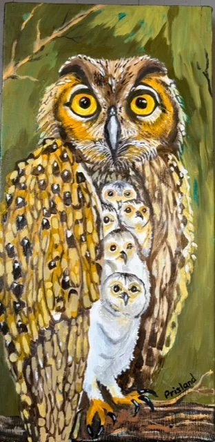 Owls.jpeg