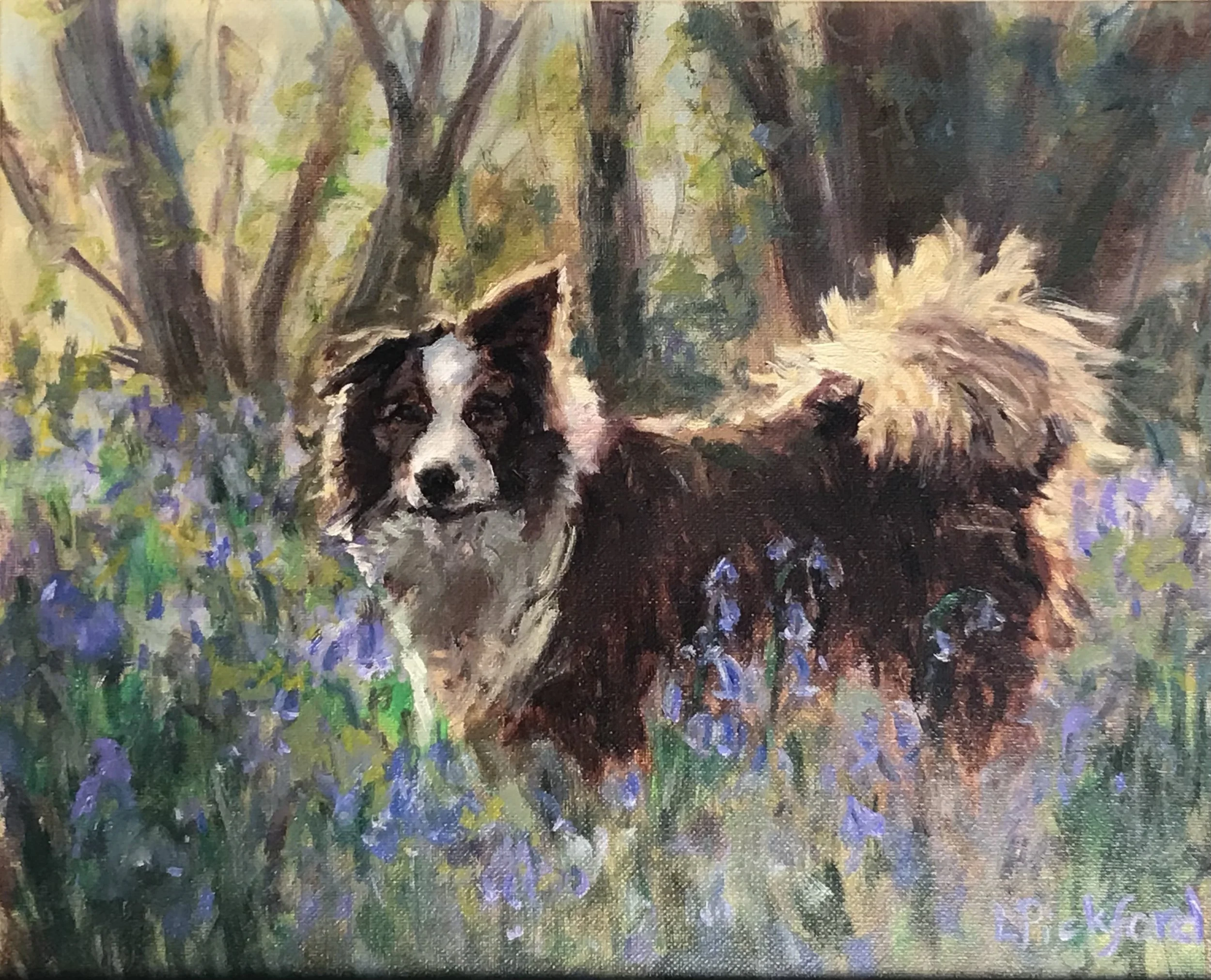 Pickford_Lesley_1.jpeg