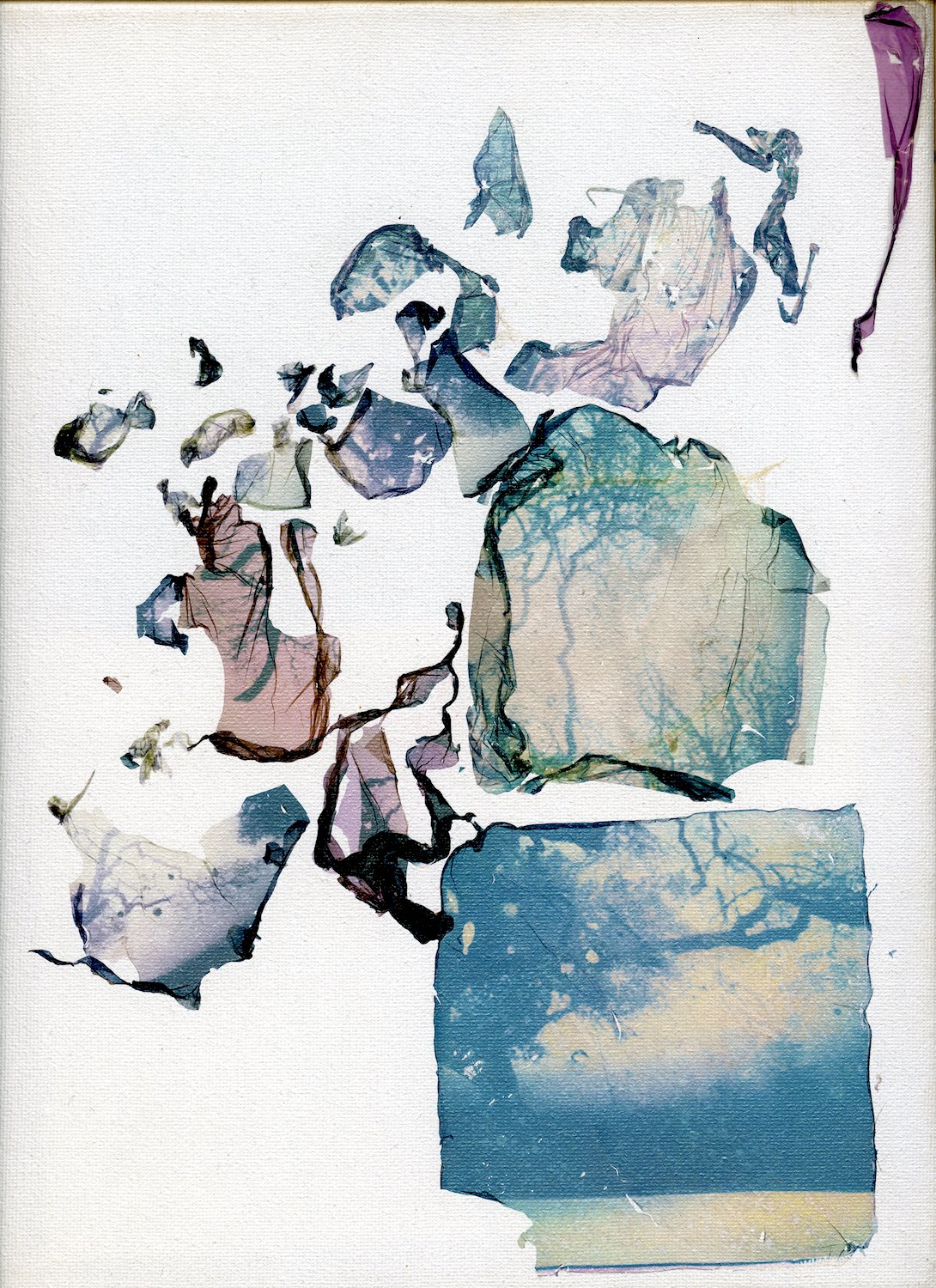Lipzin-JanisCrystal7.jpg