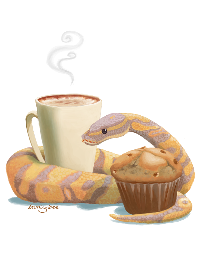python_website.png