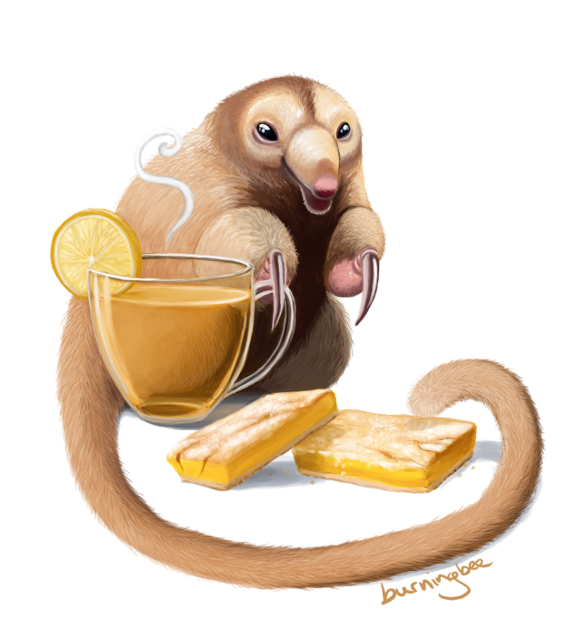 anteater_website.png