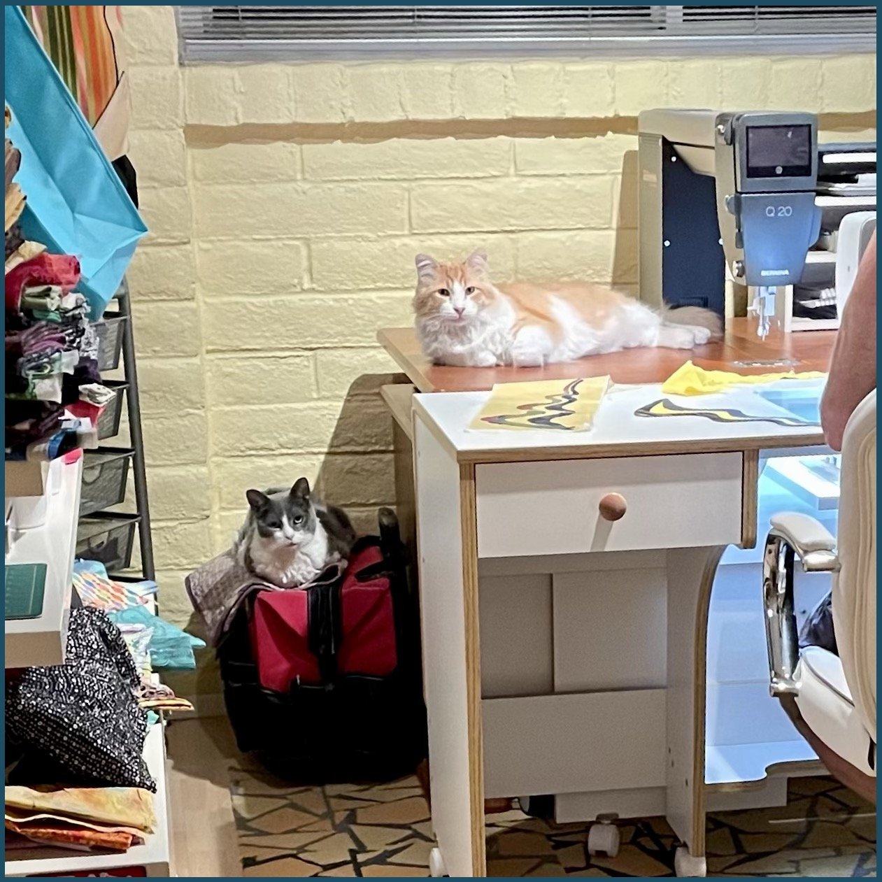 Windex and Peaches and Cream love spending time with me while I quilt - they don't try to help too often