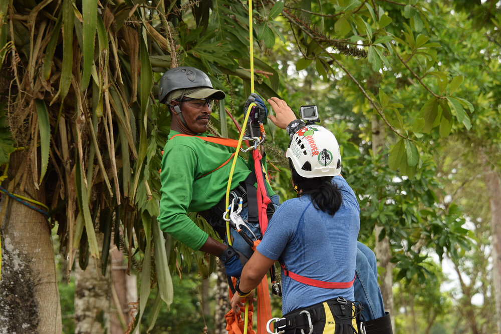 Honduras-Climbing-Training-5-15-19.jpg
