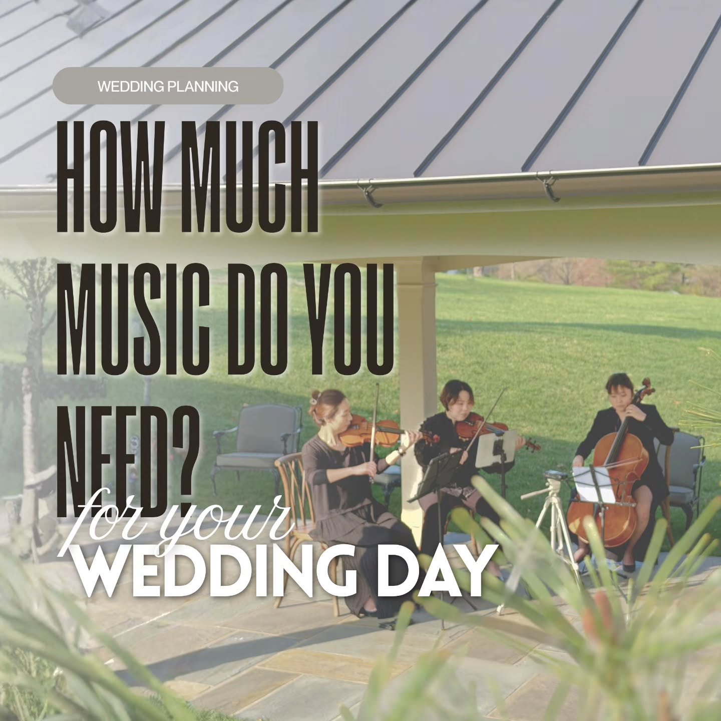 How much music do you really need for your wedding day?

It&rsquo;s not just about &ldquo;having music&rdquo; &mdash;
it&rsquo;s about when and how it shapes each moment.

🎻 Ceremony (60 minutes)
From guest arrival to your walk down the aisle, live 