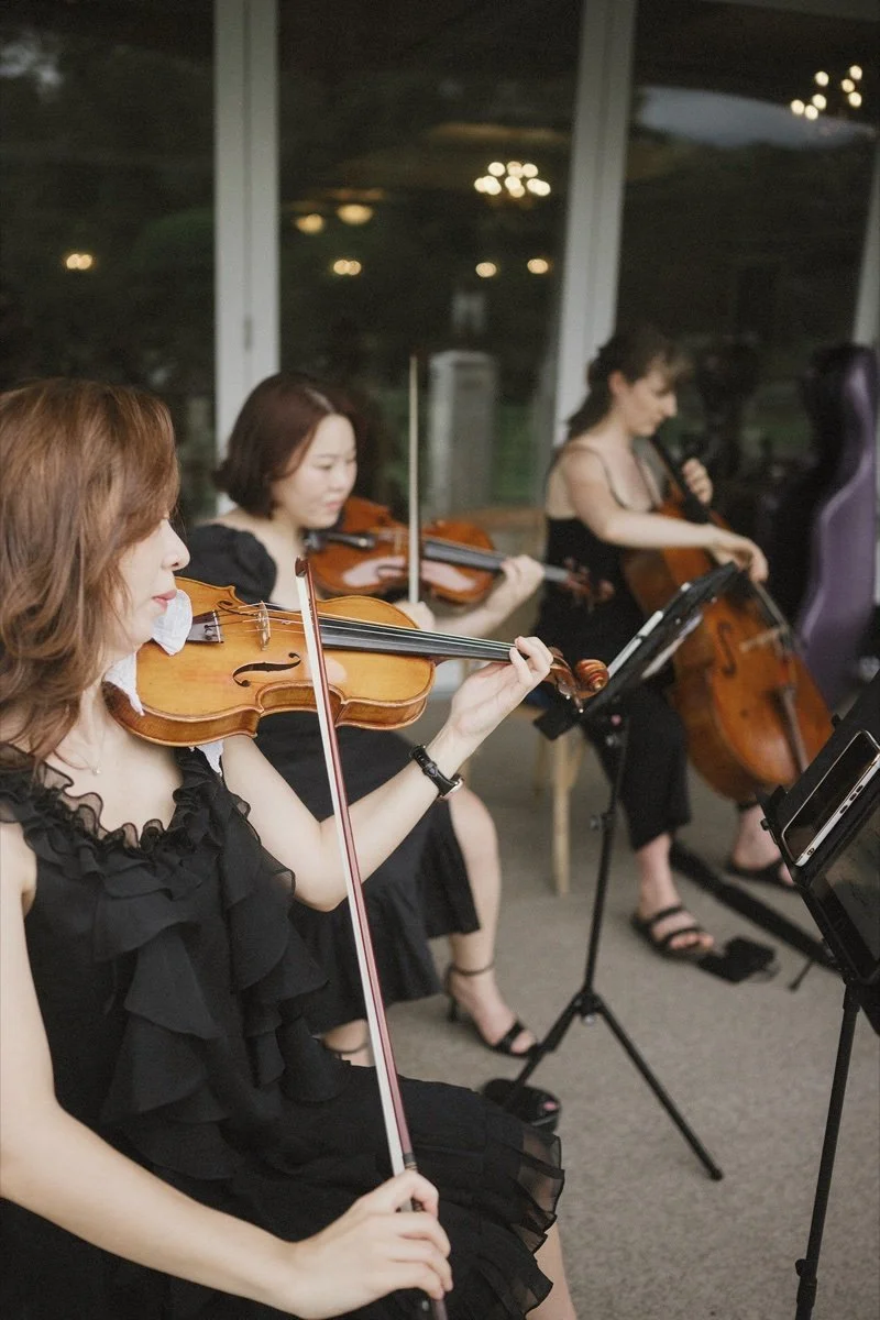SoundNJoy string ensemble performing live with violinists and a cellist