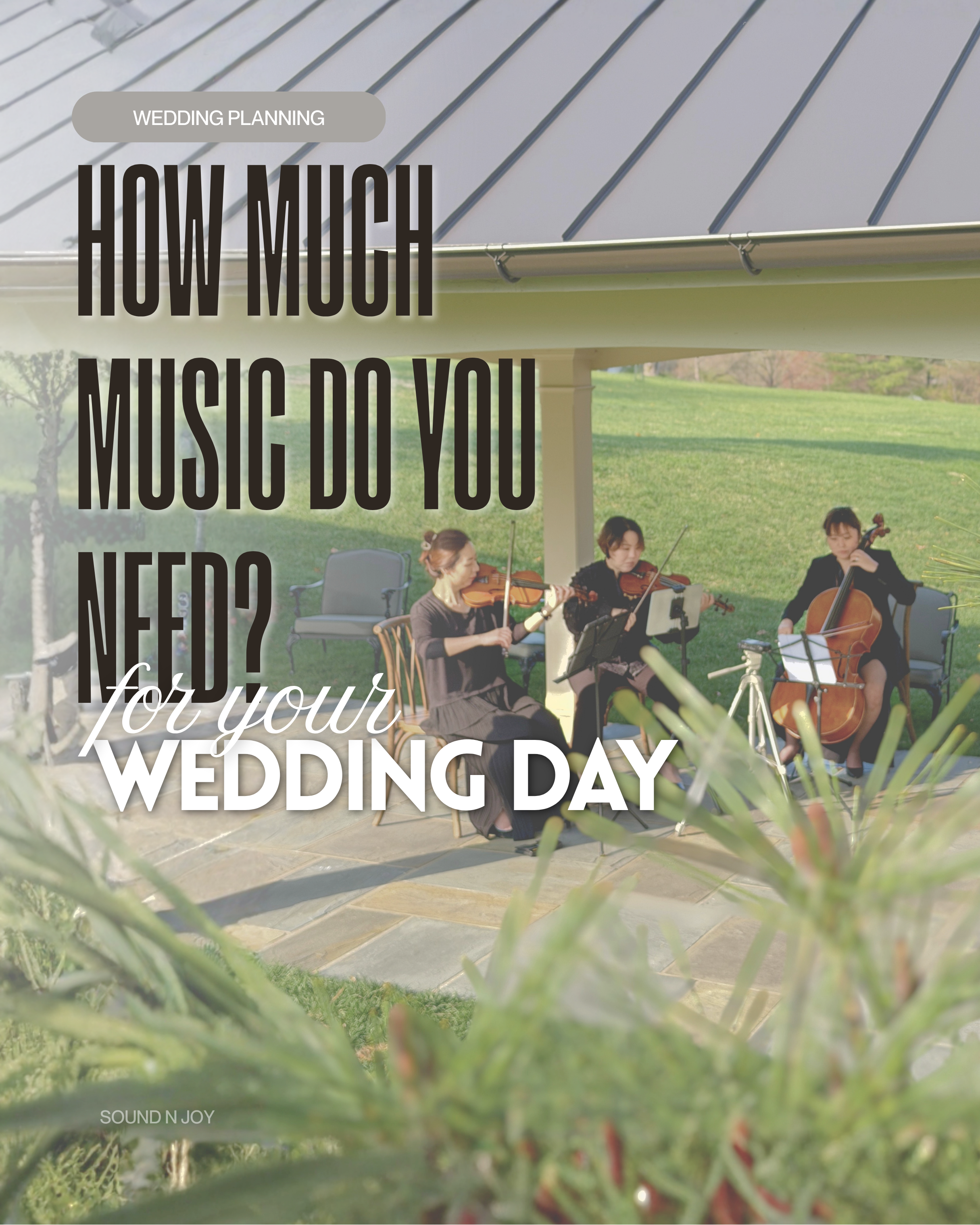 NJ string quartet performing live wedding music during an outdoor wedding ceremony.