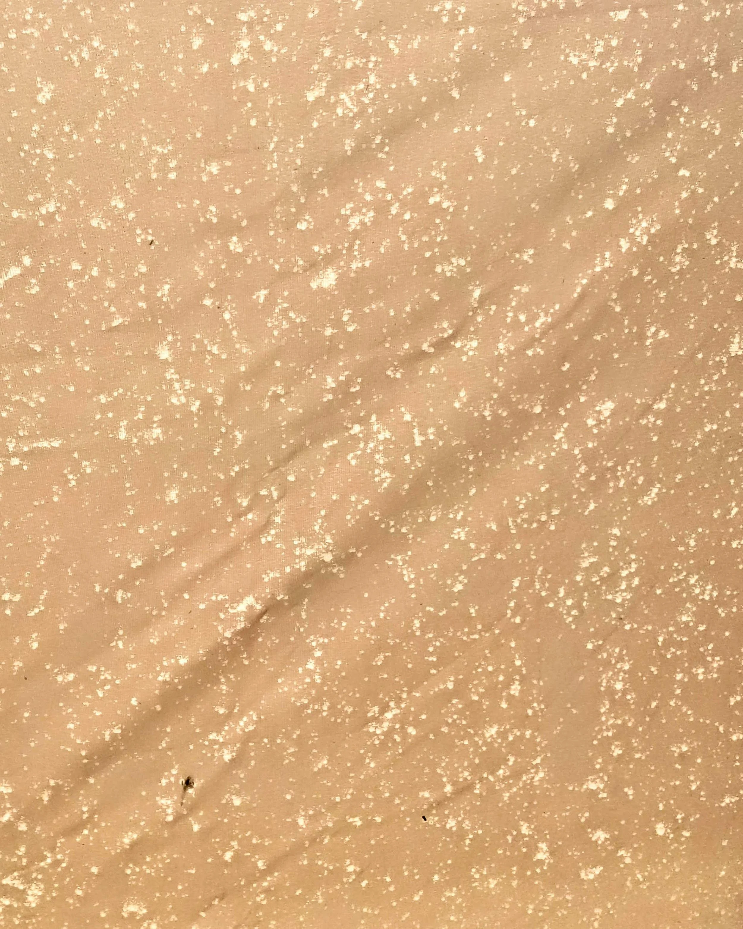 QuinnSantone_Photo Mundanus No. 3.jpg