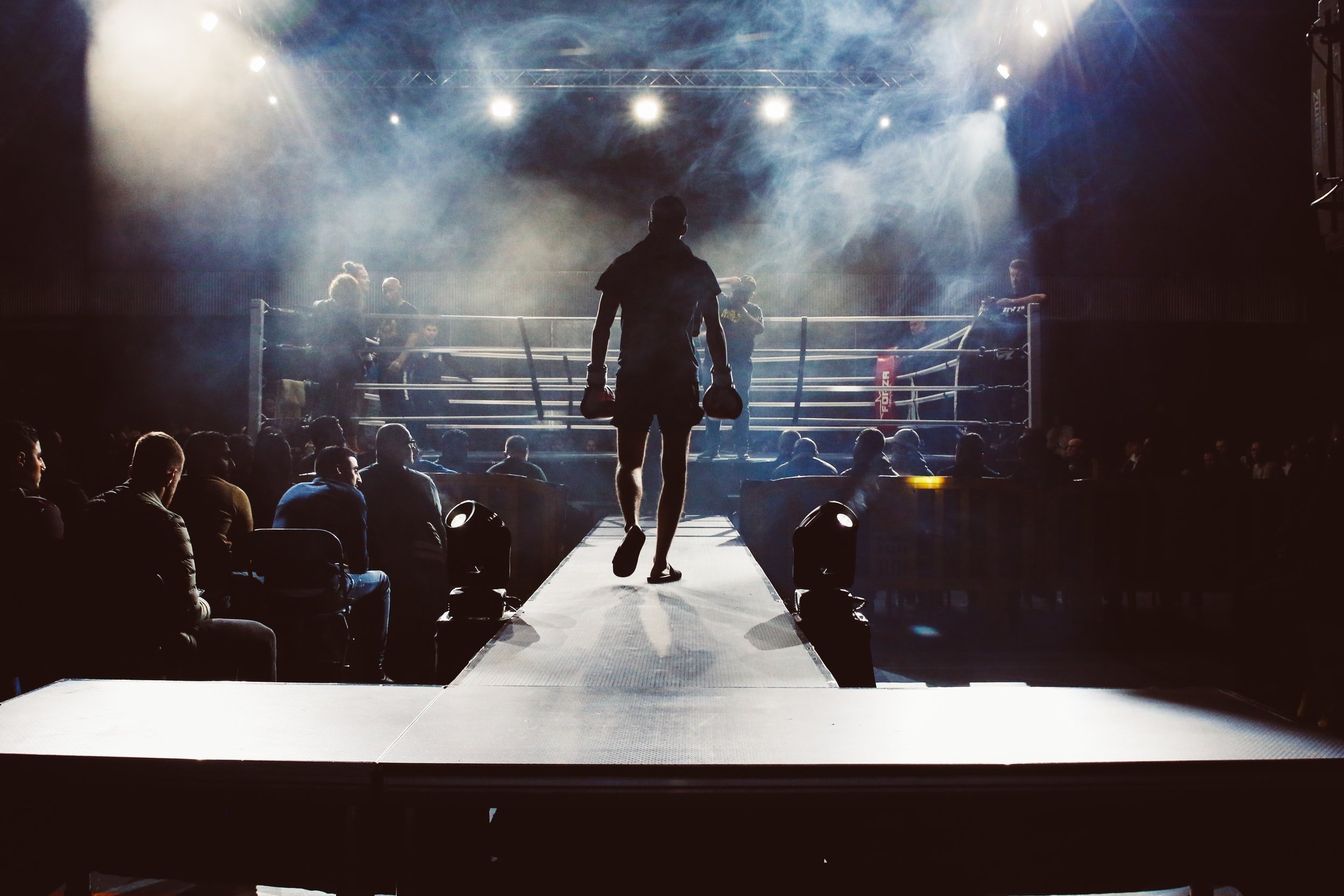 UFC & Boxing