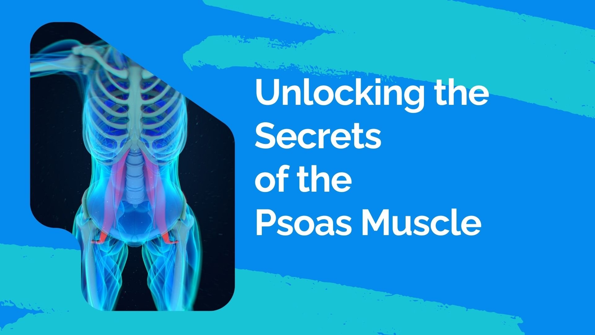 Unlocking the Secrets of the Psoas Muscle