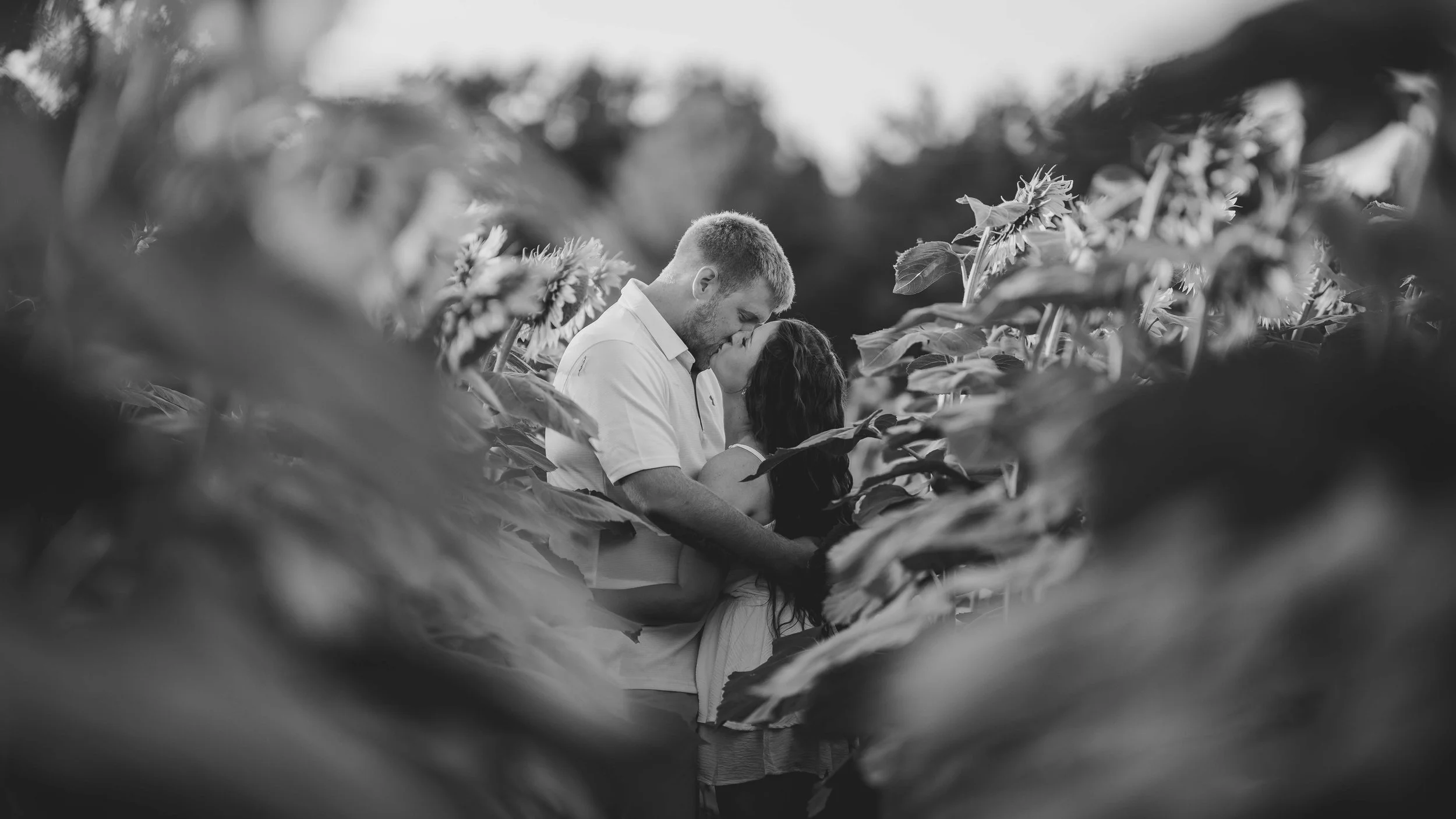 out-ShyanneCouplesRoostersFarm 04.jpg