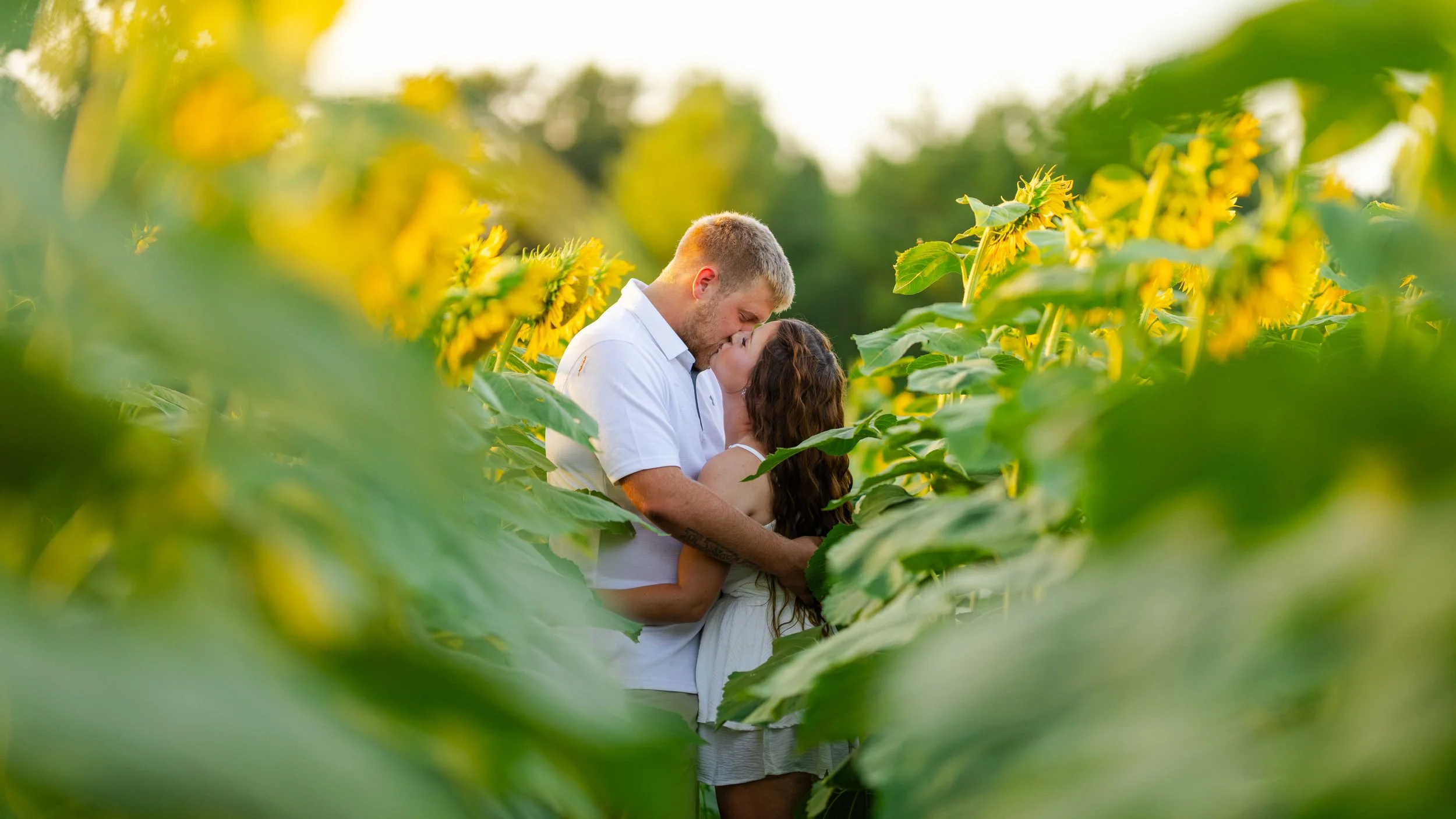 out-ShyanneCouplesRoostersFarm 02.jpg