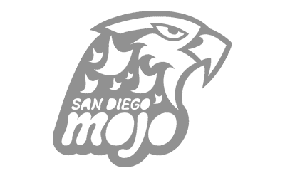 logo-grey_SDMojo.png