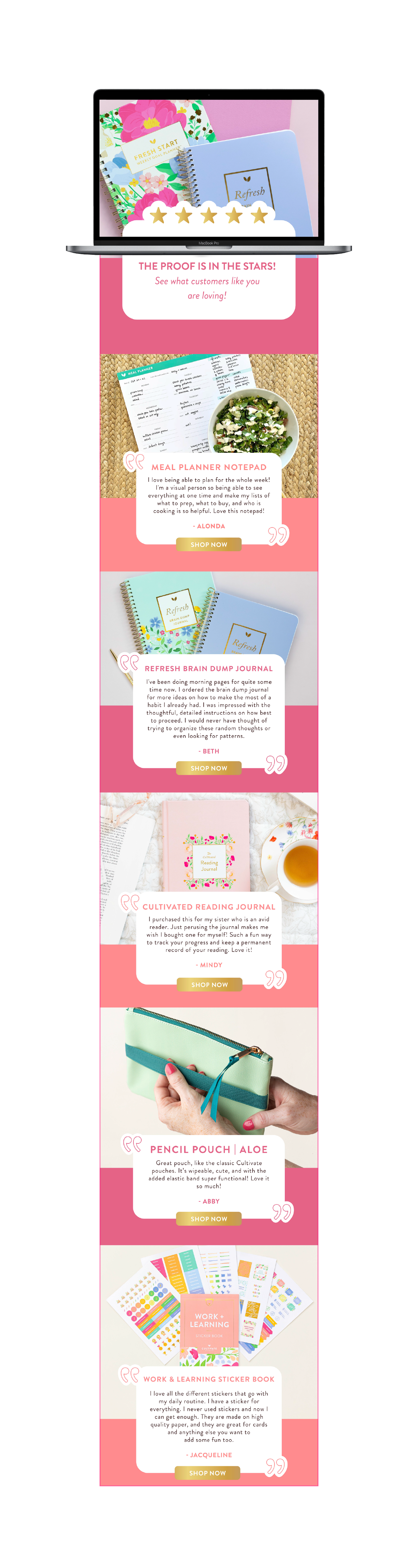 Newsletters-03.png