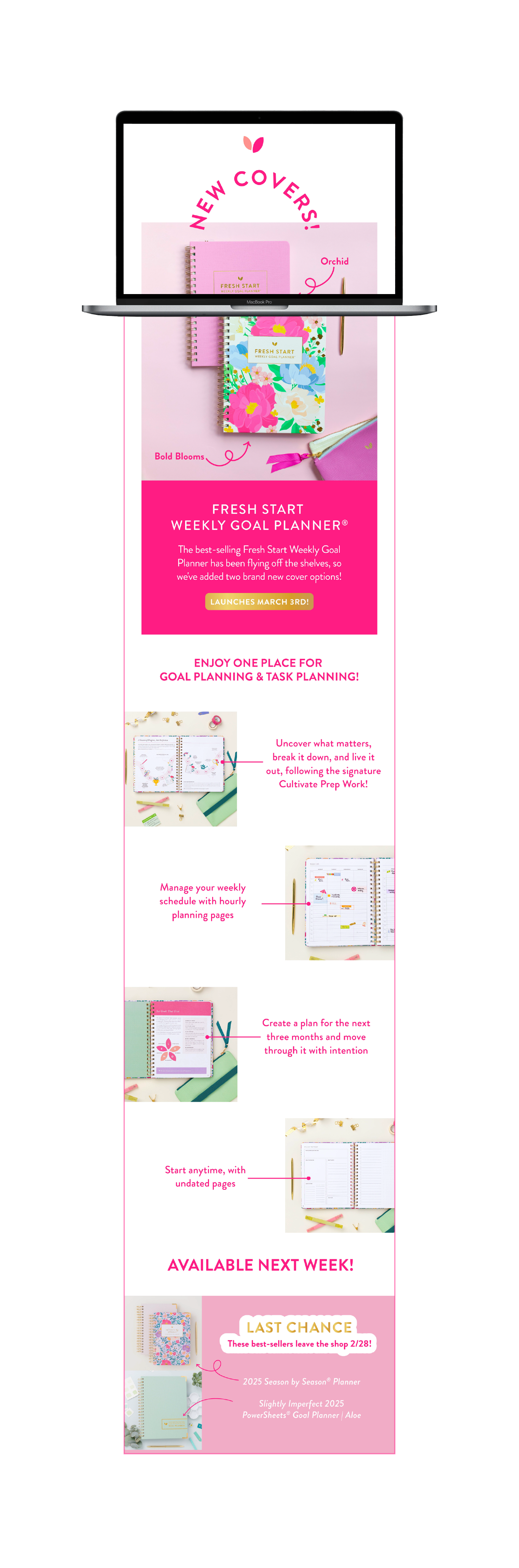 Newsletters-01.png
