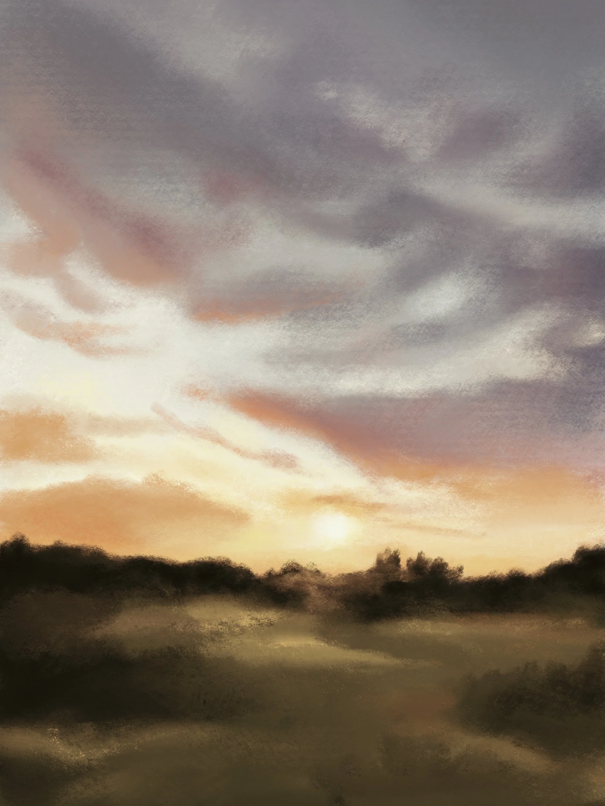 Untitled_Artwork 18 copy.jpg