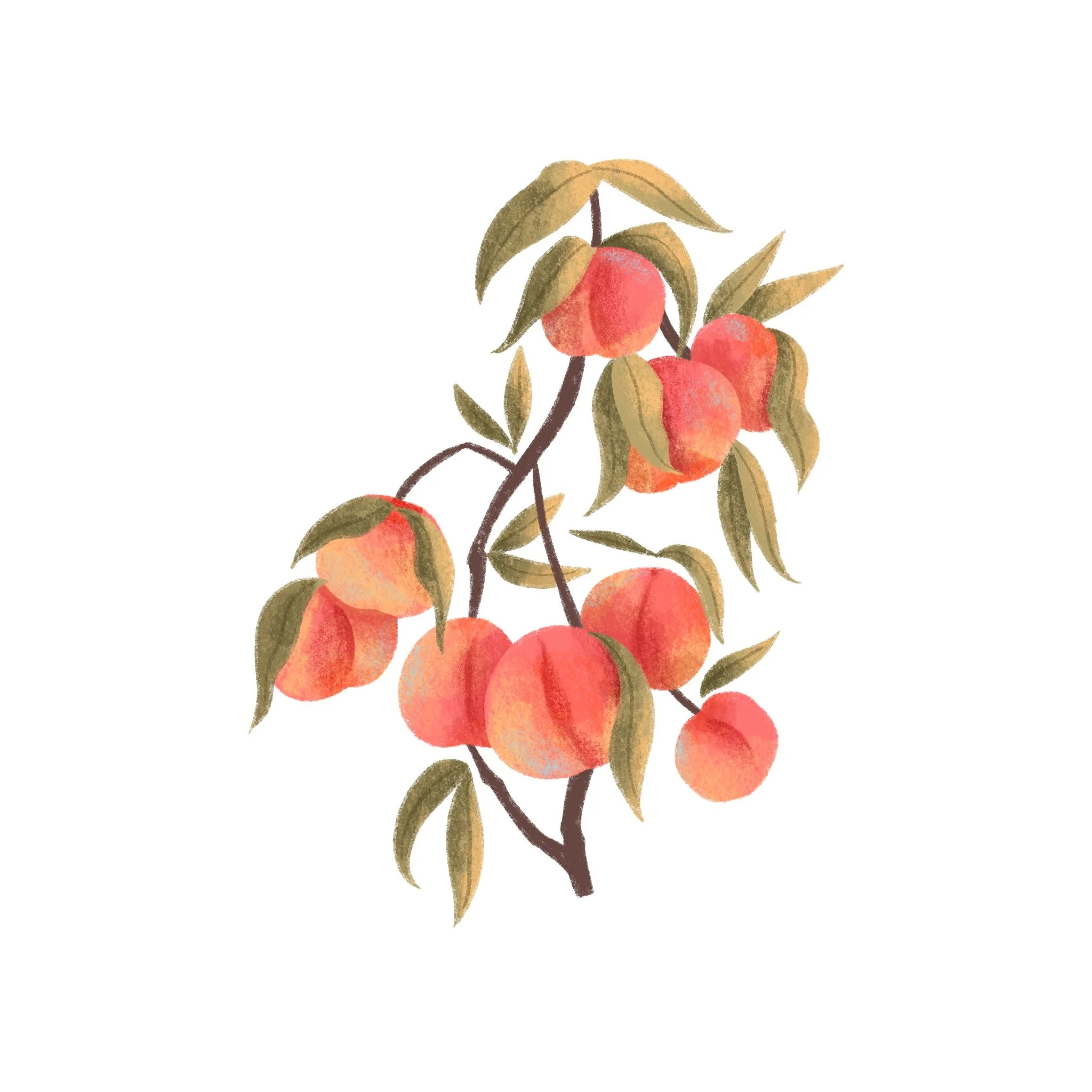 fruit_ofthespirit.jpg