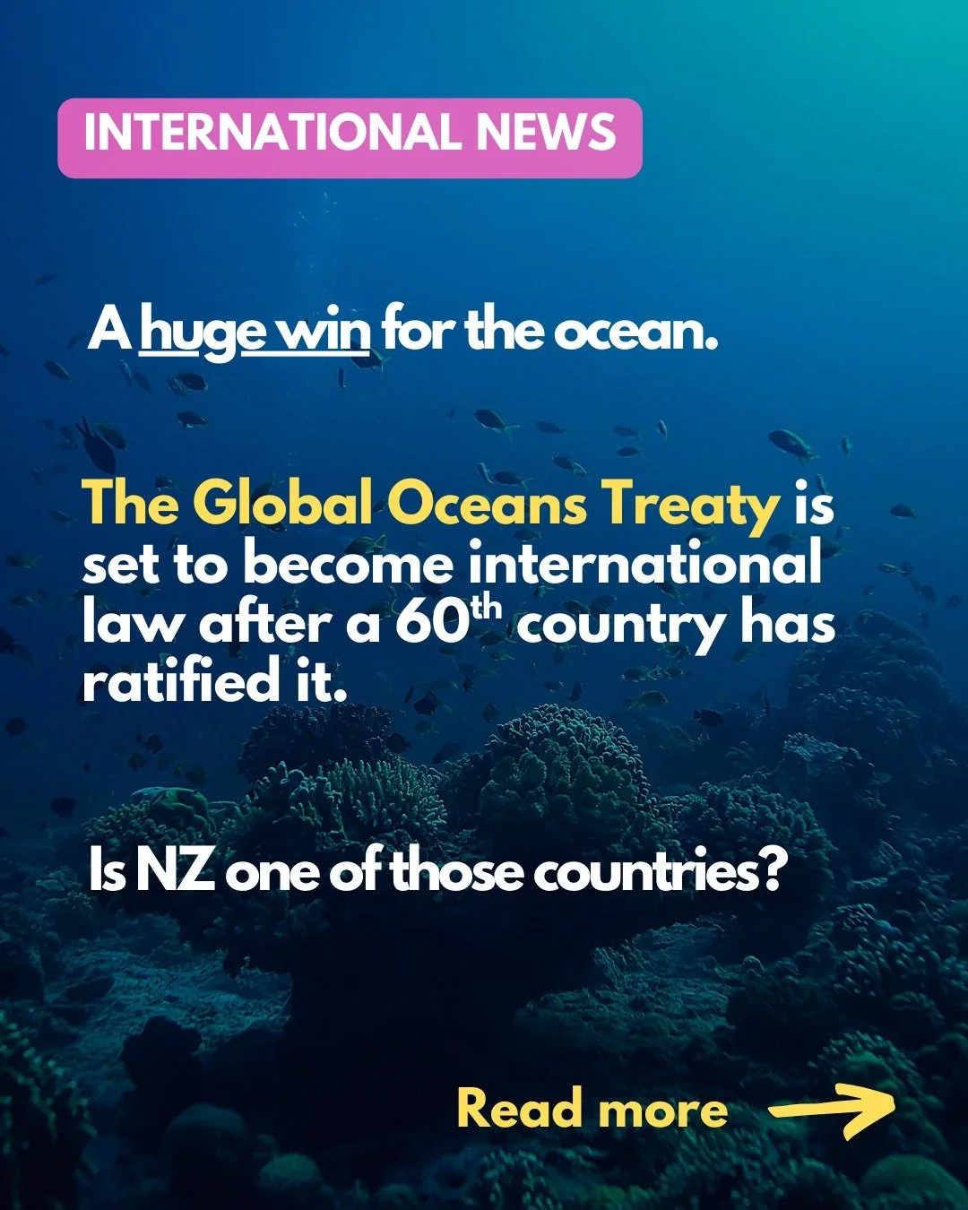 A historic moment for ocean protection. We appreciate and celebrate all those around the world who have worked tirelessly to make this treaty a reality 🌍 

Despite being an island nation with the moana so central to our identity, NZ has not yet rati