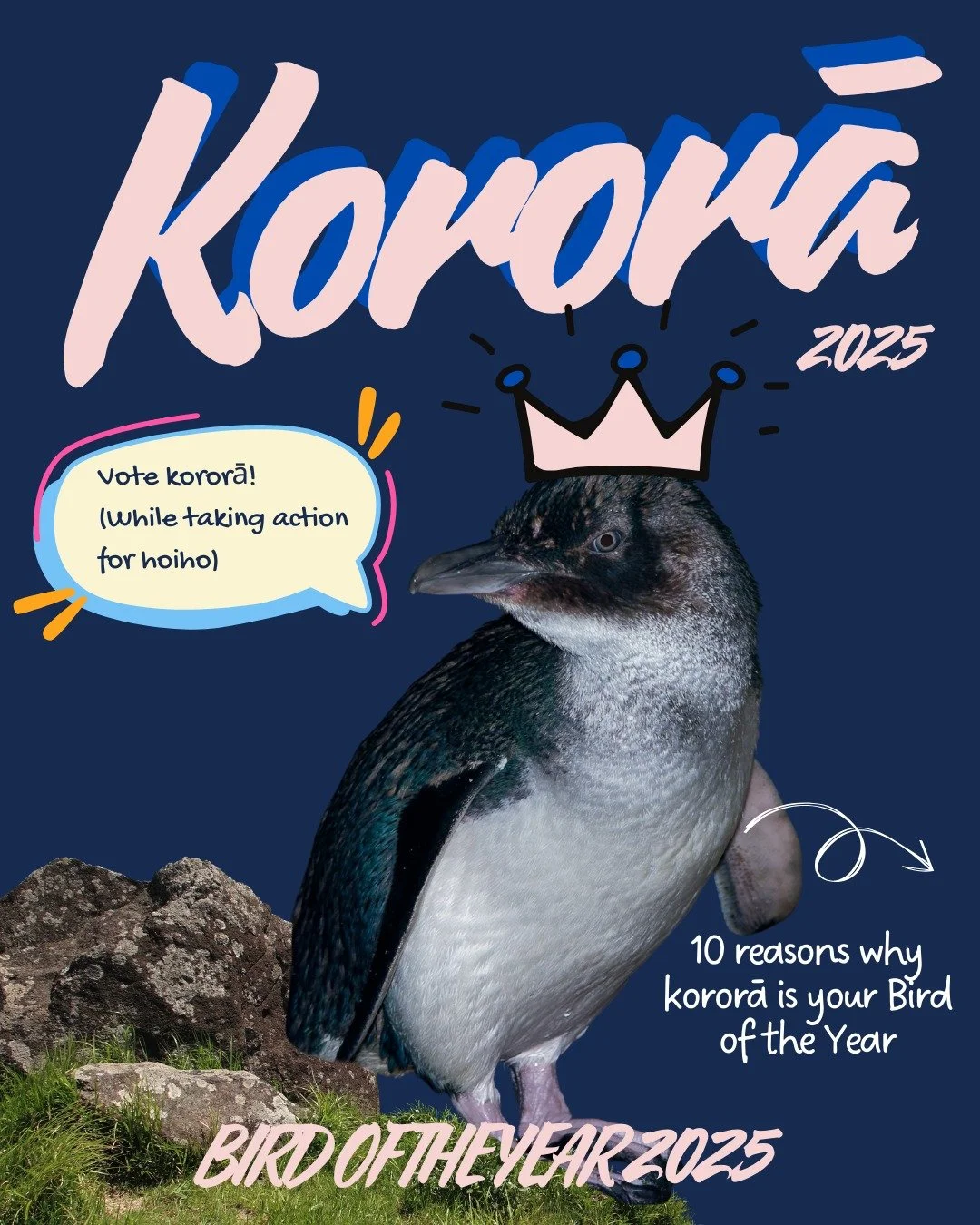 We are huge admirers of the awesome work of @nzpenguins in supporting grassroots kororā groups around the country. They're working to protect penguins for generations to come.

We admire the inherent beauty of all birds, but this year we are endorsin