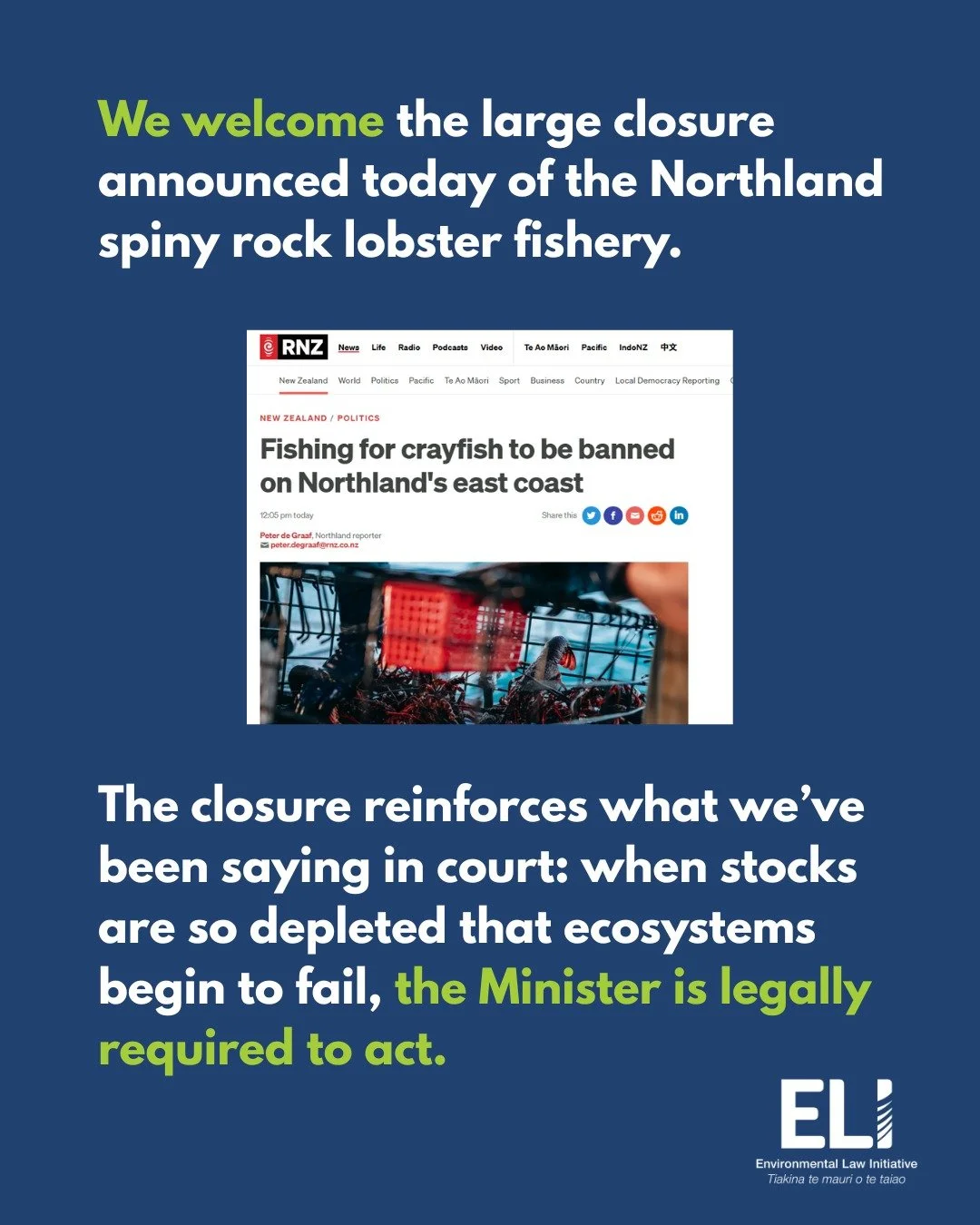As our Legal Advisor, Reto Blattner de-Vries, says &ldquo;The announcement is an important acknowledgement that strong action is required to allow the Northland crayfish fishery to recover. 
 
Minister Shane Jones&rsquo; announcement will extend the 