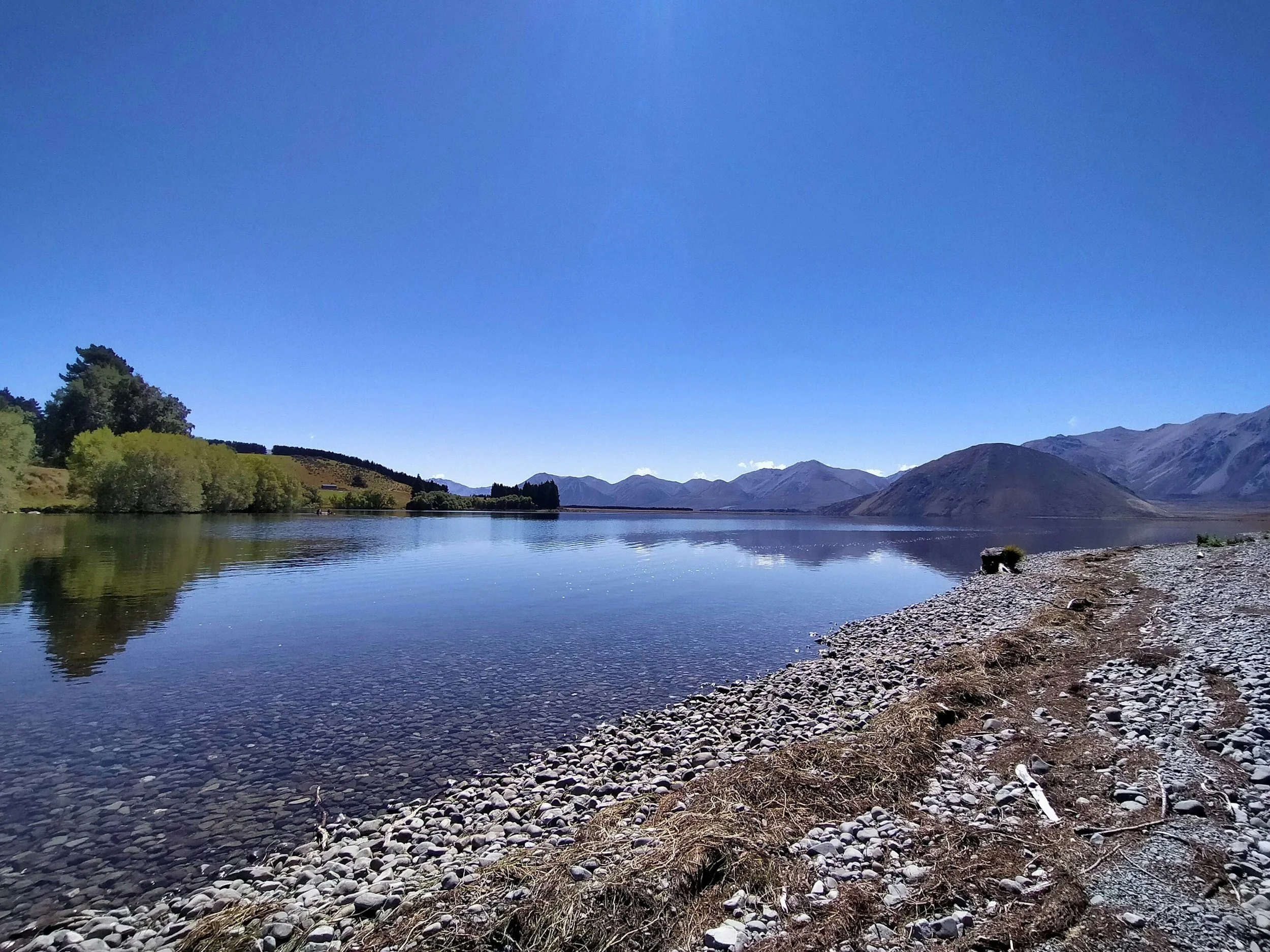 ELI appeals ruling that blocked judicial review of ECan’s pollution‑enabling rule