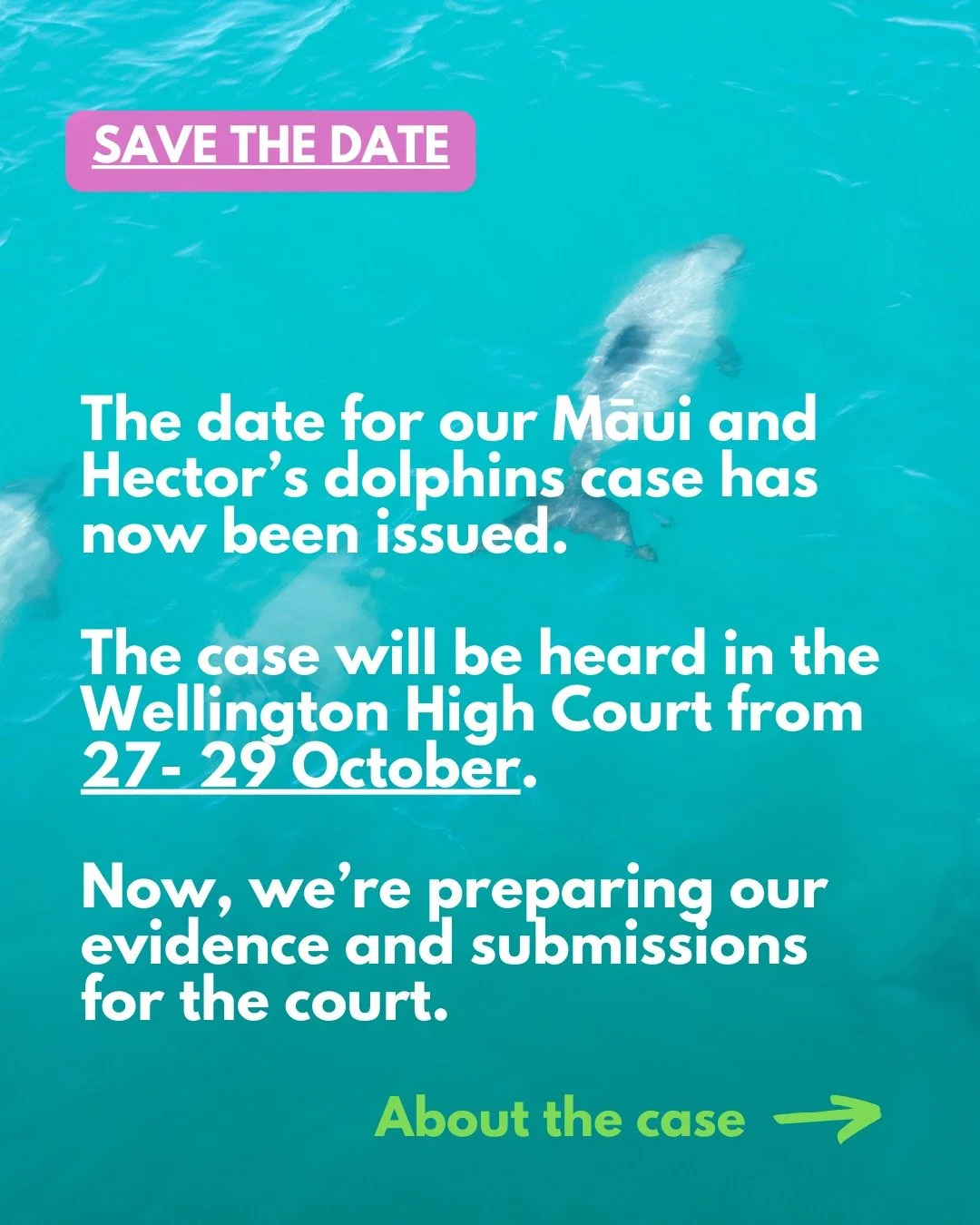 After navigating some prolonged procedural matters, including the seafood industry insisting on joining as a respondent in the case, we now have a court date!

From October 27th - 29th, we'll be in the Wellington High Court, challenging the Minister 