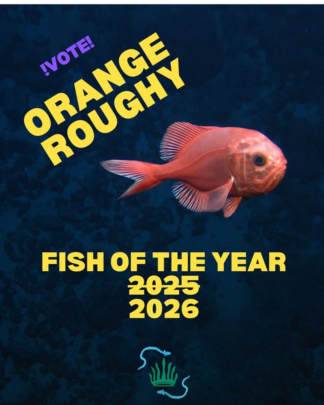 Who will be #FishoftheYear 2026? This time last year we were simultaneously preparing for our orange roughy High Court hearing (focused on overfishing and bottom trawling), while also campaigning for orange roughy for Fish of the Year. 

We're still 