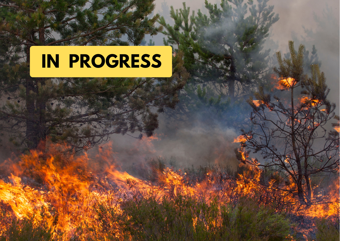 The fight for a credible climate plan