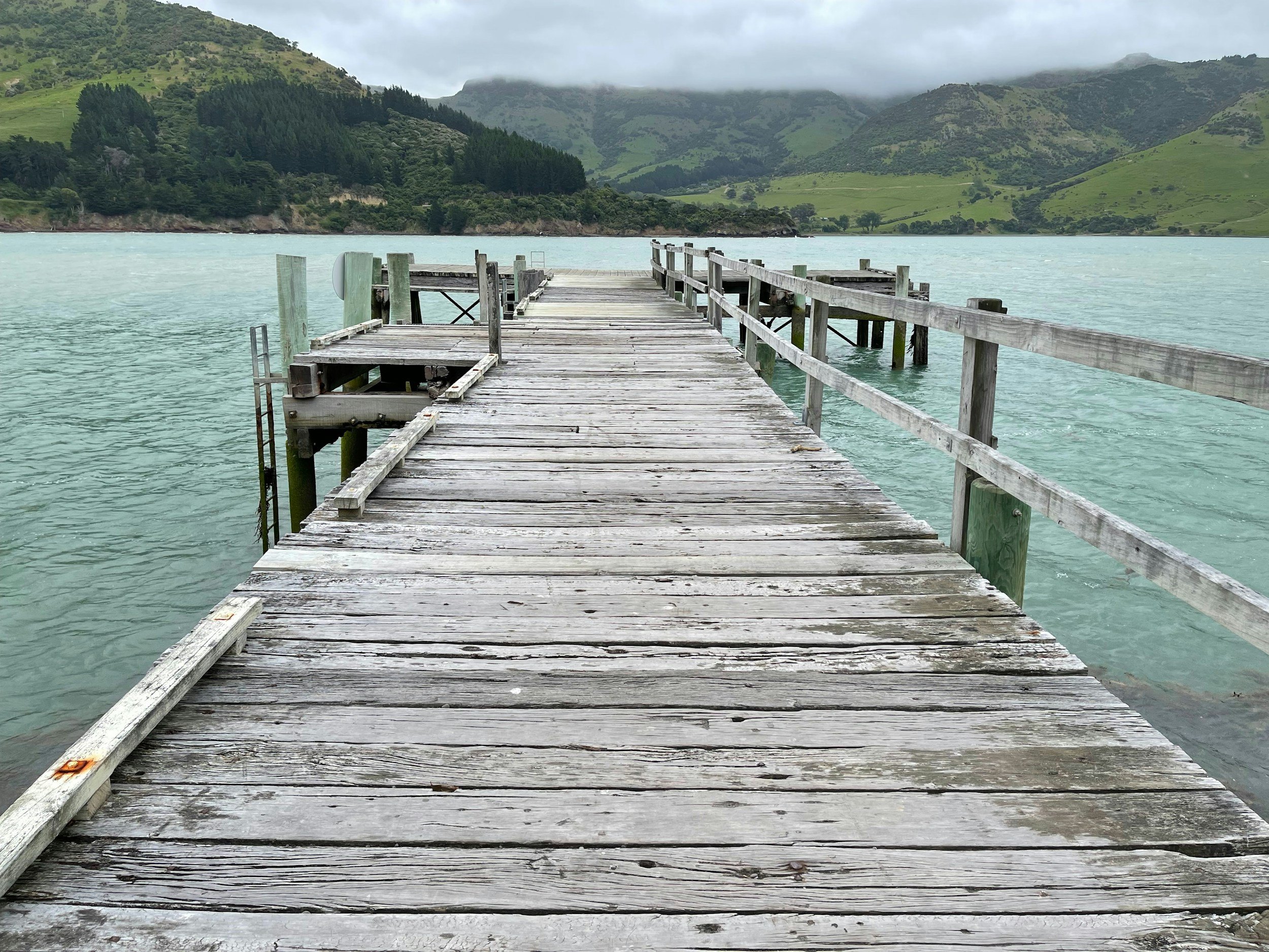 Submission: ELI response to the Environment (Disestablishment of the Ministry for the Environment) Amendment Bill