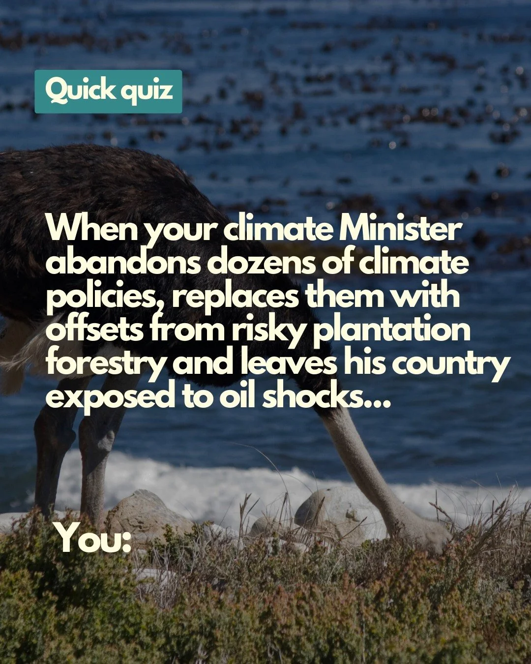 Tuesday quiz day 🕶️