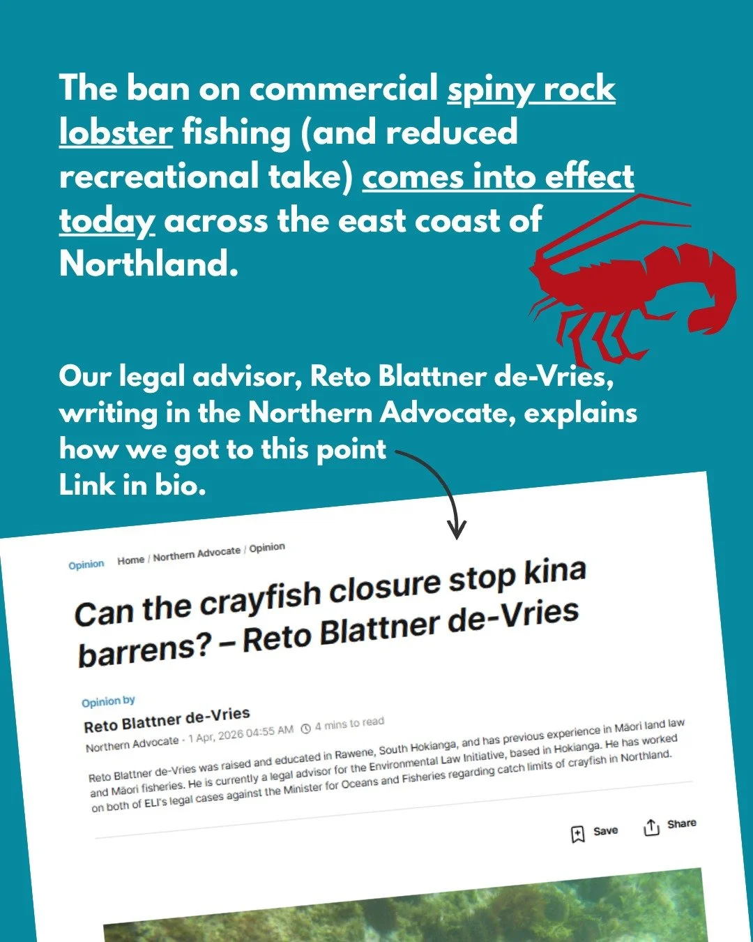 "Aotearoa New Zealand&rsquo;s principal fisheries law should have prevented the overharvesting of kōura (crayfish) and the related collapse of rocky shore ecosystems on the east coast of Te Tai Tokerau, Northland.

Yet it didn&rsquo;t. In my vie