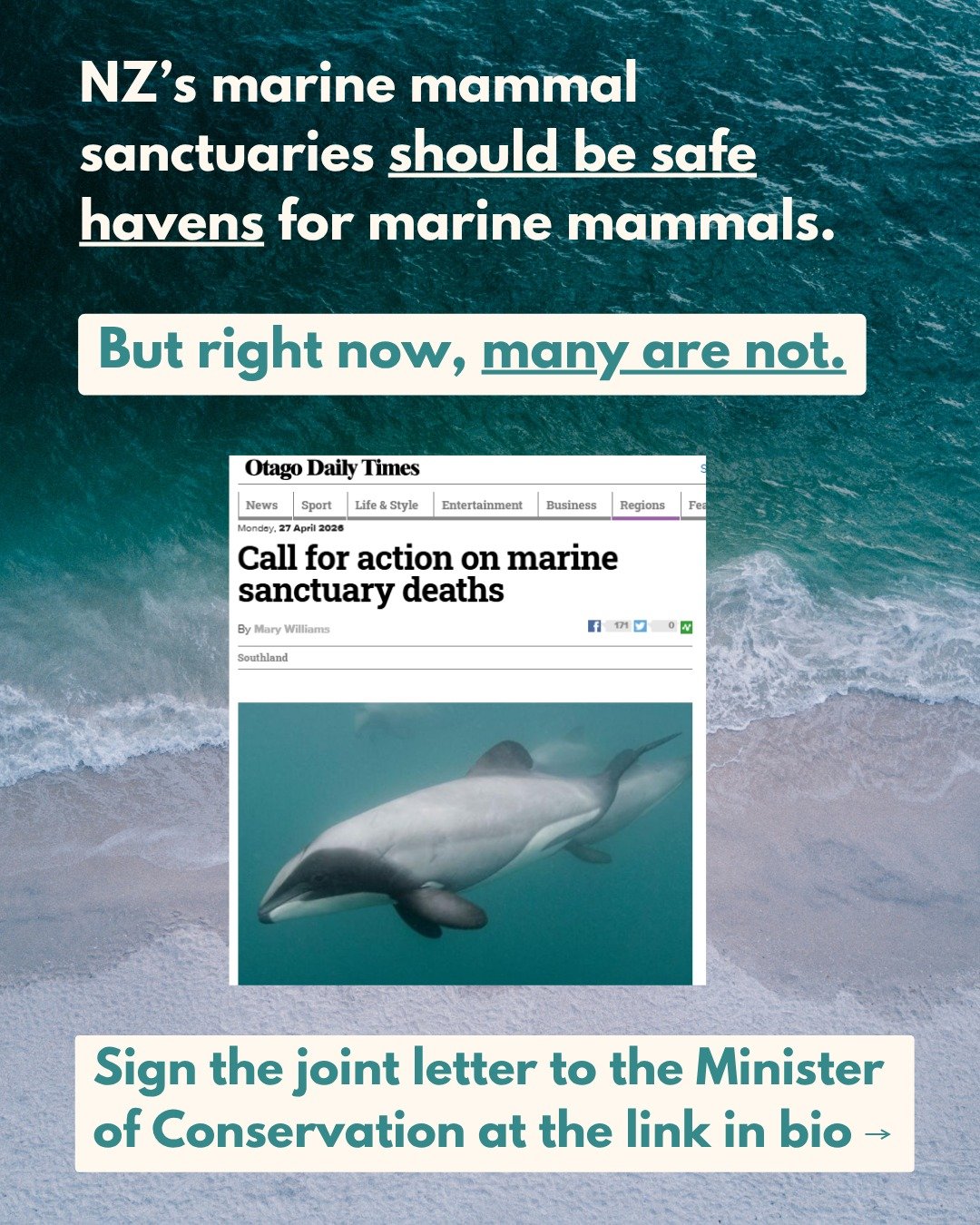 Aotearoa NZ's marine mammal sanctuaries should be safe havens for marine mammals. But in the last two fishing years alone, 146 marine mammals were killed inside marine mammal sanctuaries. 

Join us in writing to the Minister of Conservation to call f