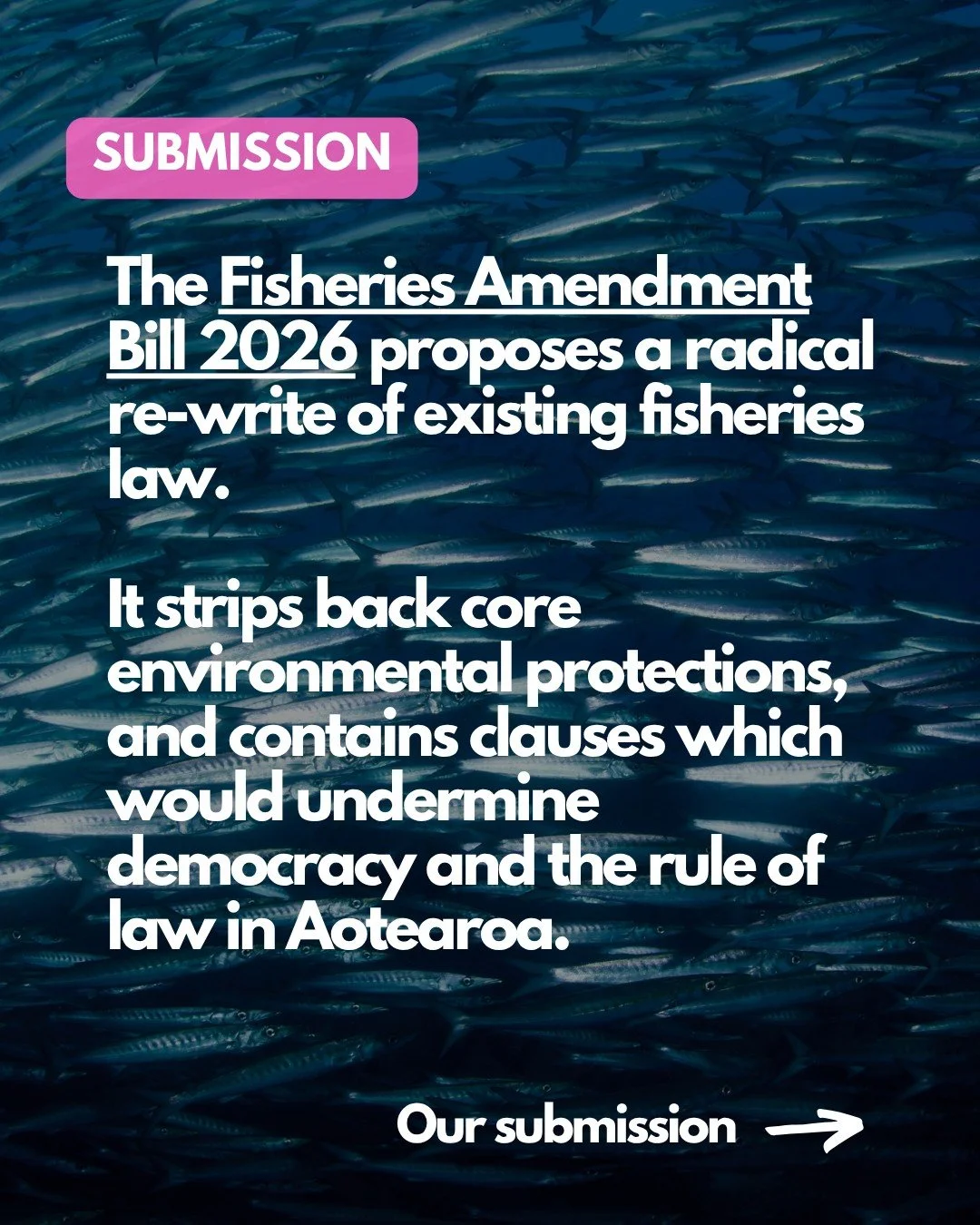 We've given the Fisheries Amendment Bill a no star review. 0 out of 5. Badly written legislation, not worth passing. Lots of better things to do than this.

#nzpol #oceans